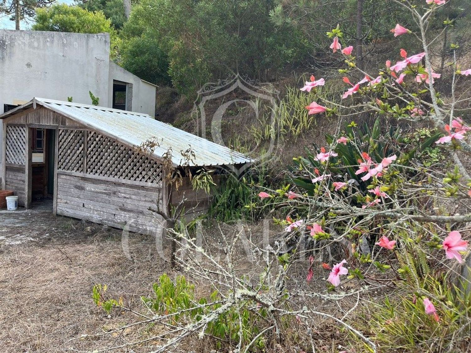 小楼房或独栋别墅出售在 Vila de Colares - Mucifal - 外立面