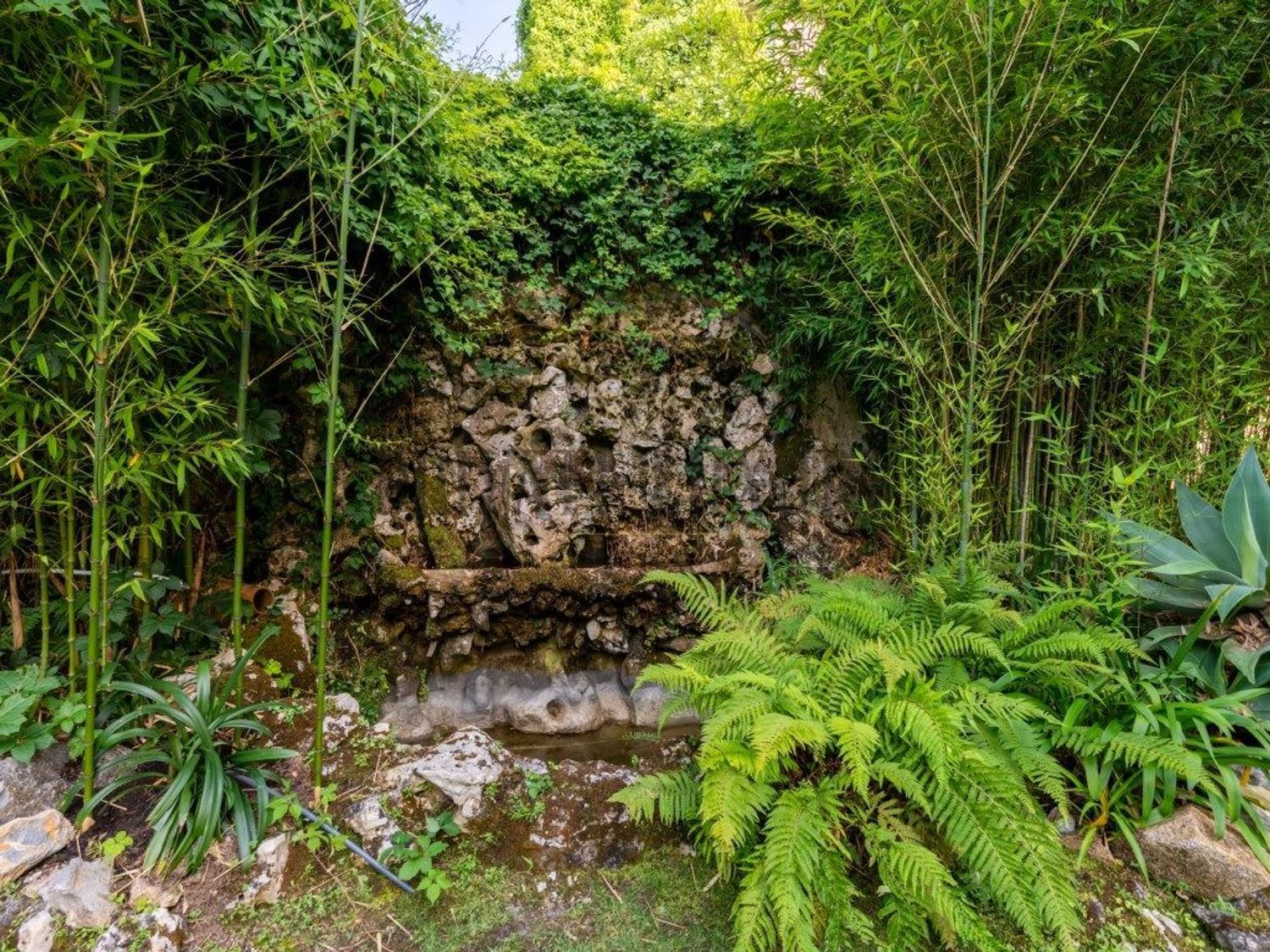出租小楼房或独栋别墅在 Vila de Sintra - Monserrate - 花园