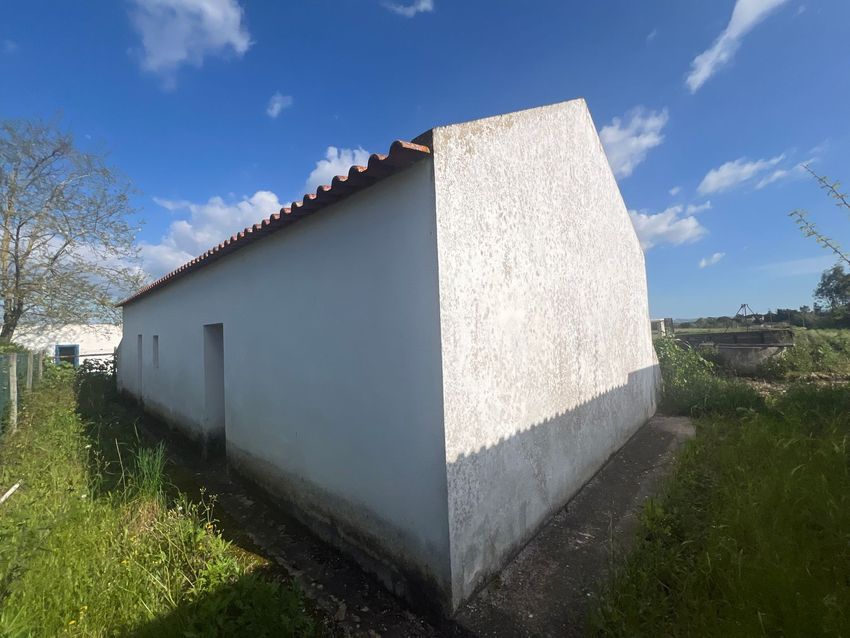 小楼房或独栋别墅出售在 Carregueira - Terrim - Lagoa da Palha