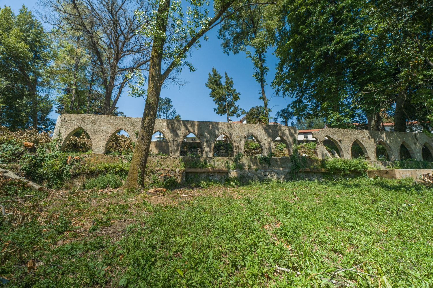 小楼房或独栋别墅出售在 Centro de Oliveira de Azeméis - 花园