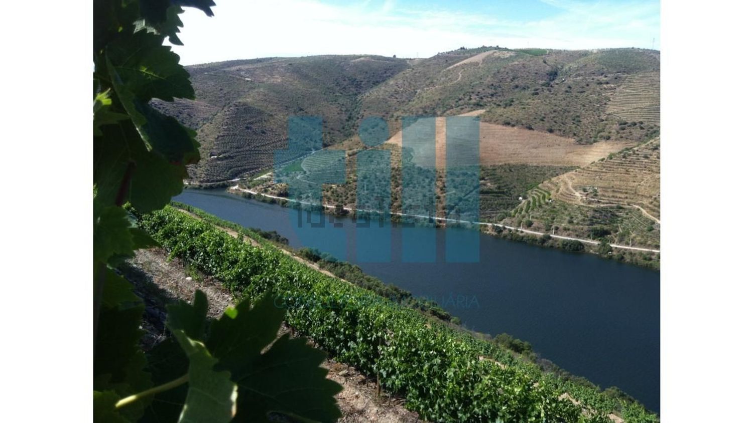 庄园出售在 Vila Nova de Foz Côa - 视线