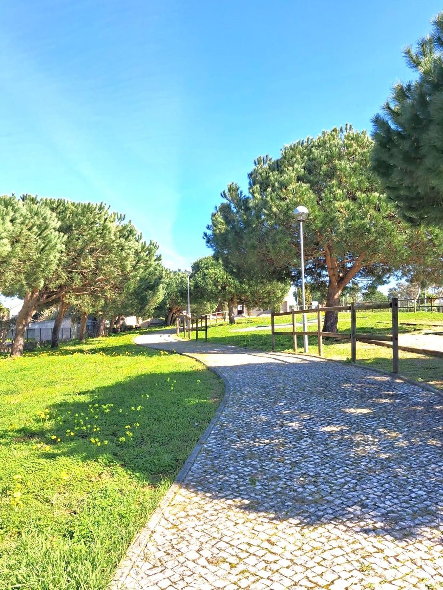 小楼房或独栋别墅出售在 Lagoa de Albufeira - 花园