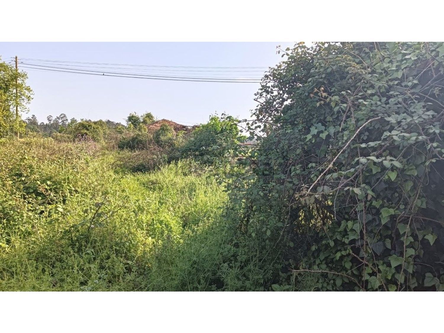 小楼房或独栋别墅出售在 Aguada de Cima - 花园