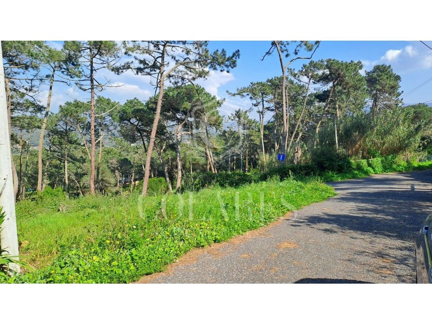 小楼房或独栋别墅出售在 Vila de Colares - Mucifal - 花园