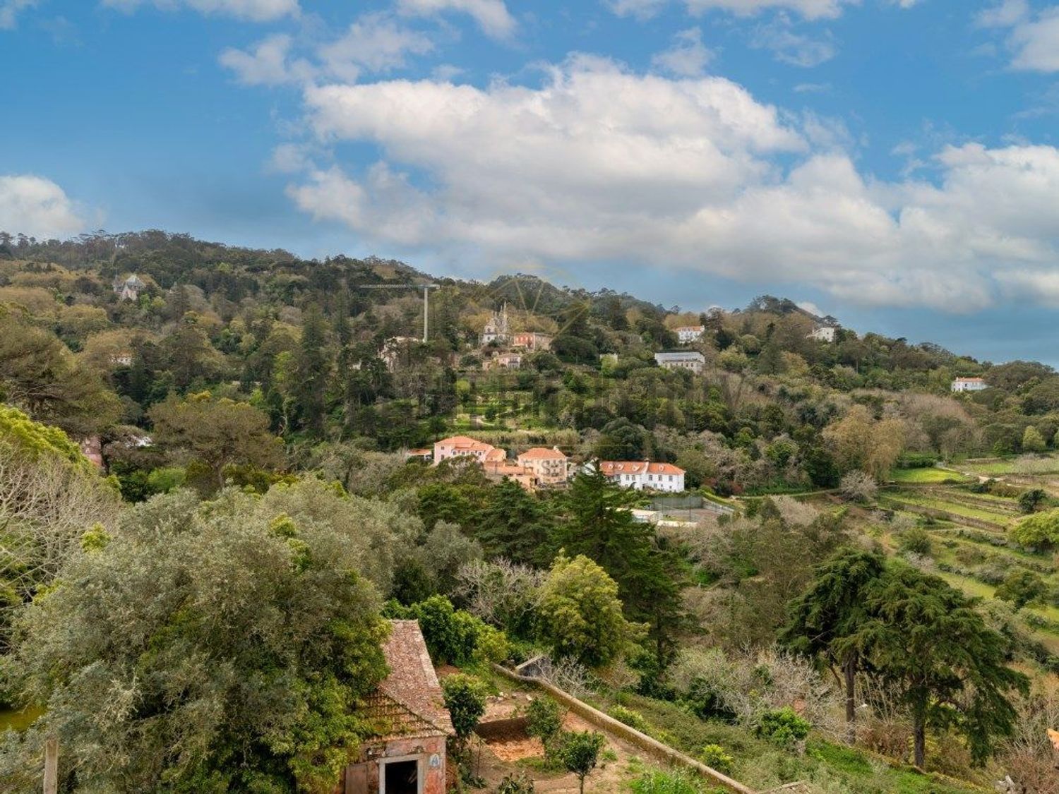 出租小楼房或独栋别墅在 Vila de Sintra - Monserrate - 视线