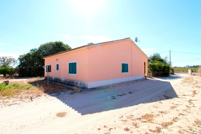 农庄出售在Rua do Antonio Brinca s/n