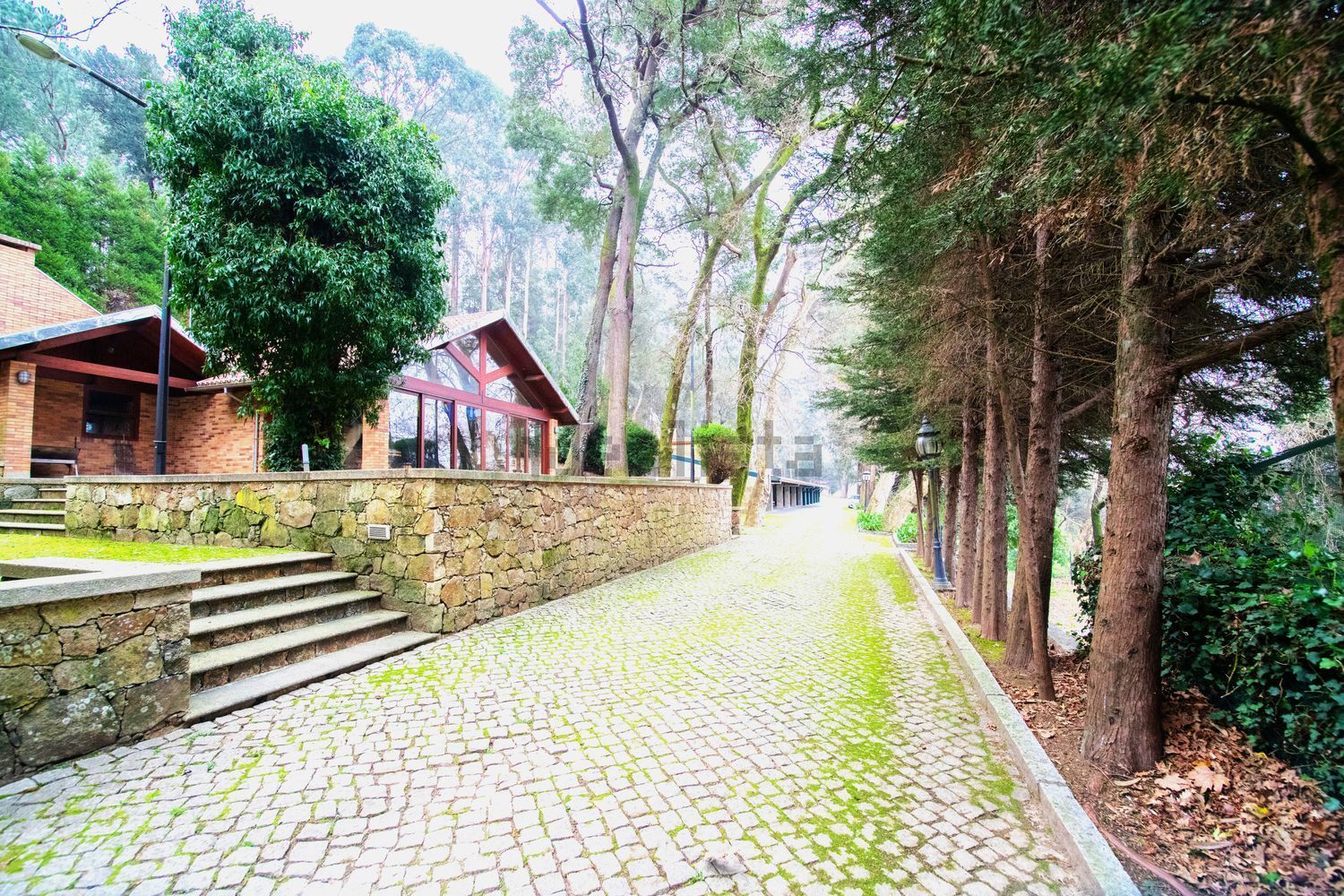 小楼房或独栋别墅出售在 Santiago De Riba-ul - 花园