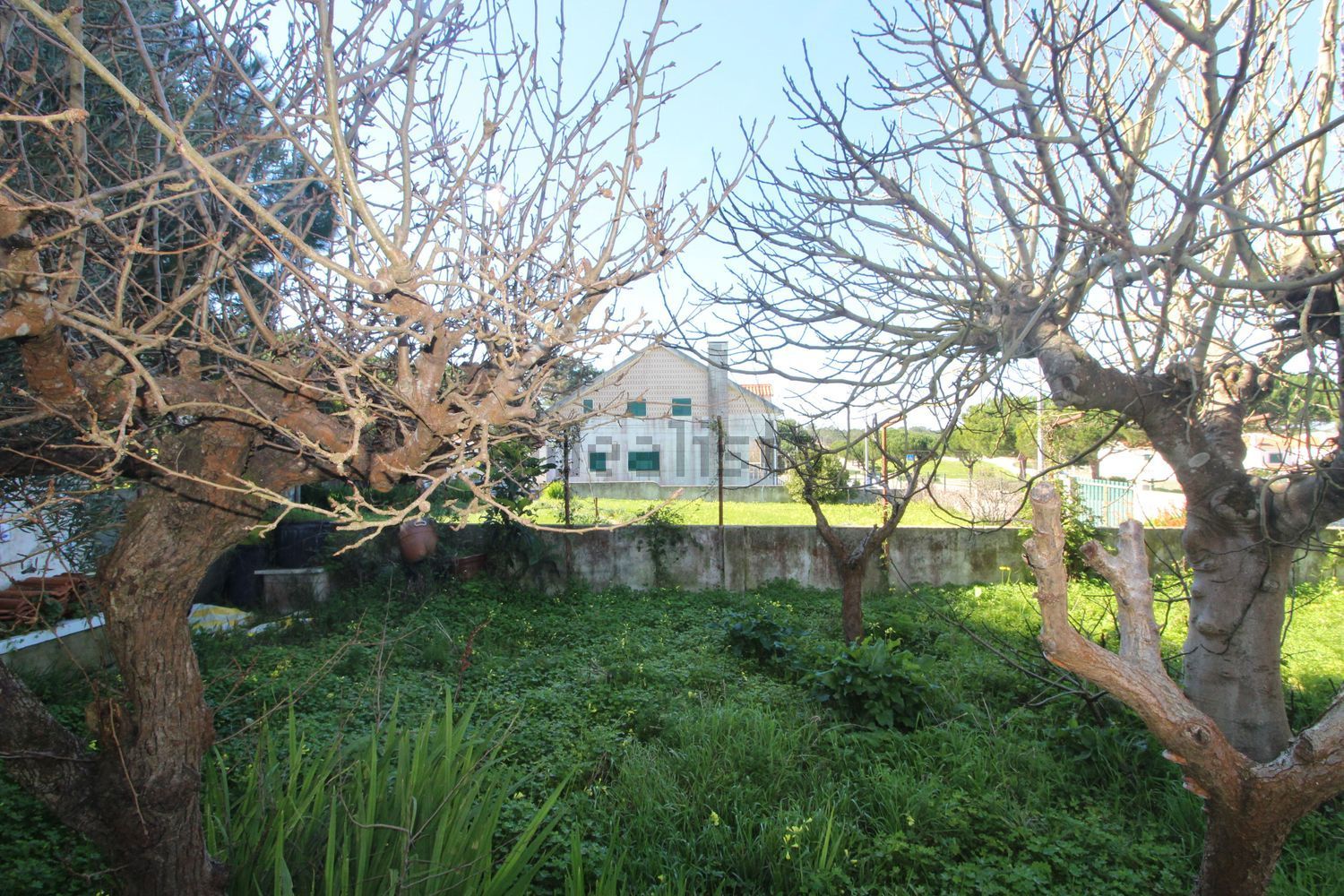 小楼房或独栋别墅出售在 Lagoa de Albufeira - 花园