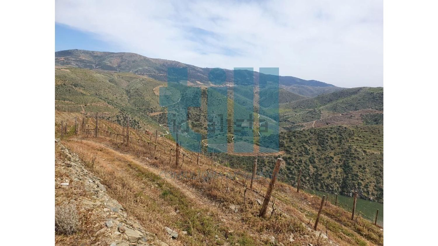 庄园出售在 Vila Nova de Foz Côa - 视线