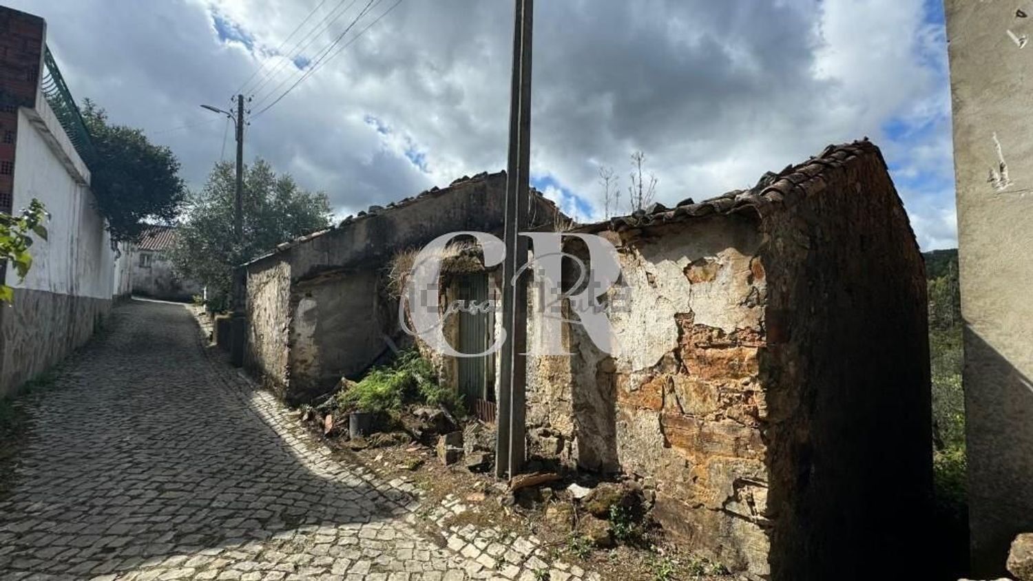 小楼房或别墅出售在 Figueiró dos Vinhos e Bairradas - 照片