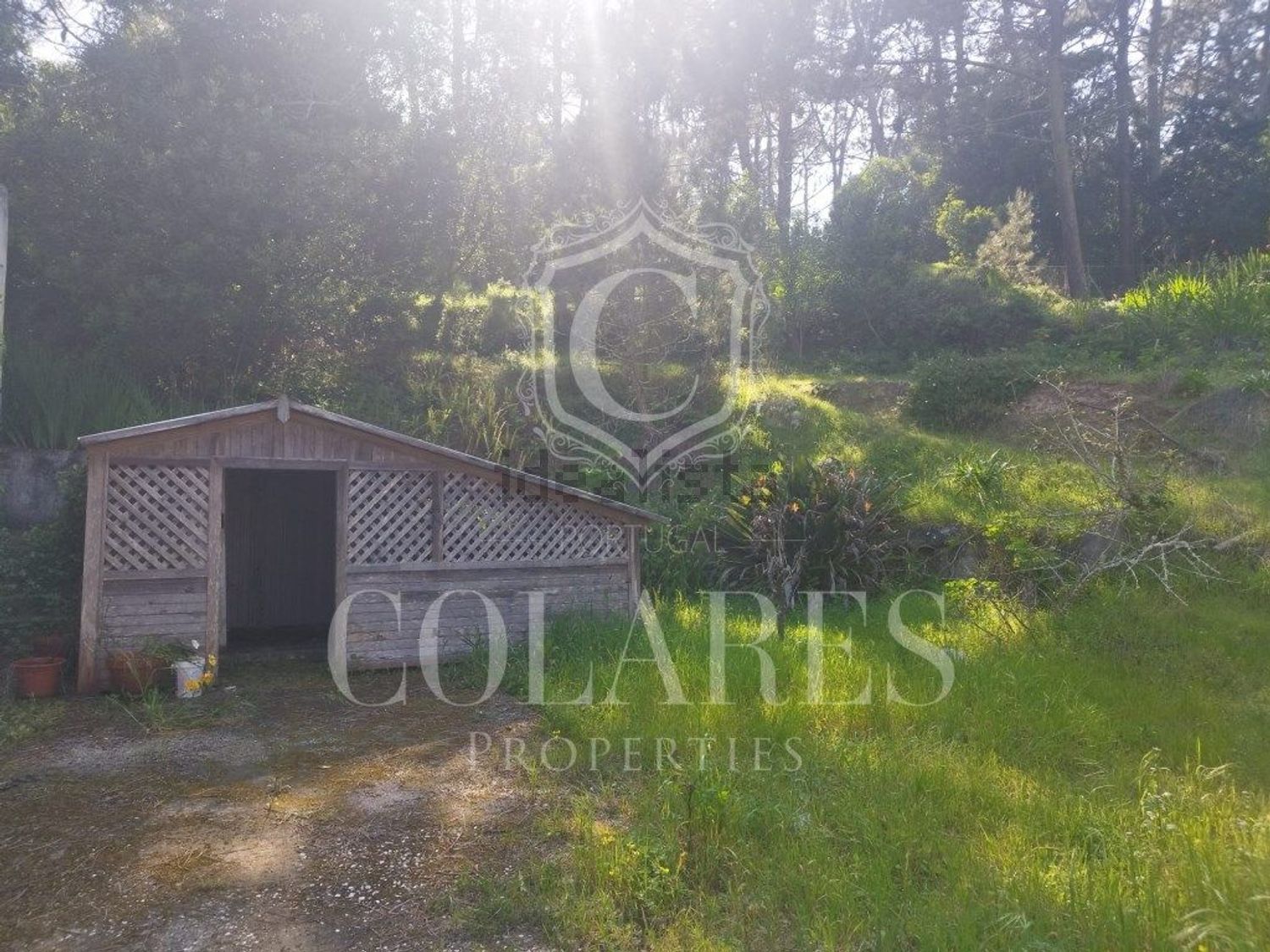小楼房或独栋别墅出售在 Vila de Colares - Mucifal - 外立面