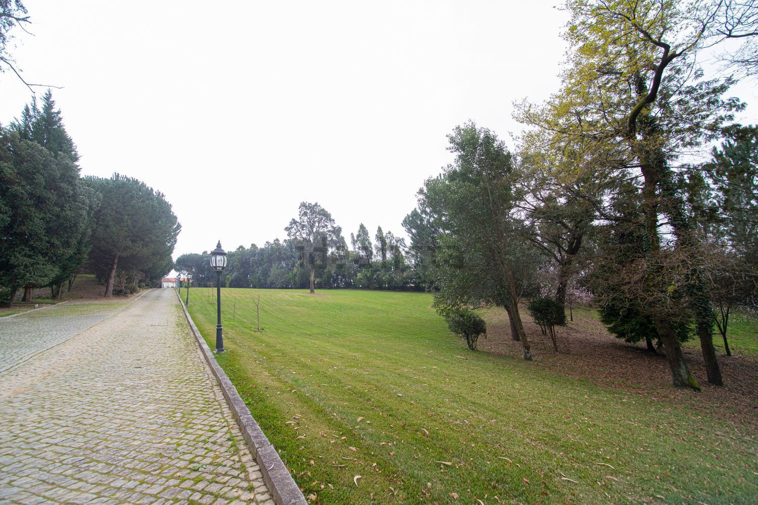 小楼房或独栋别墅出售在 Santiago De Riba-ul - 花园