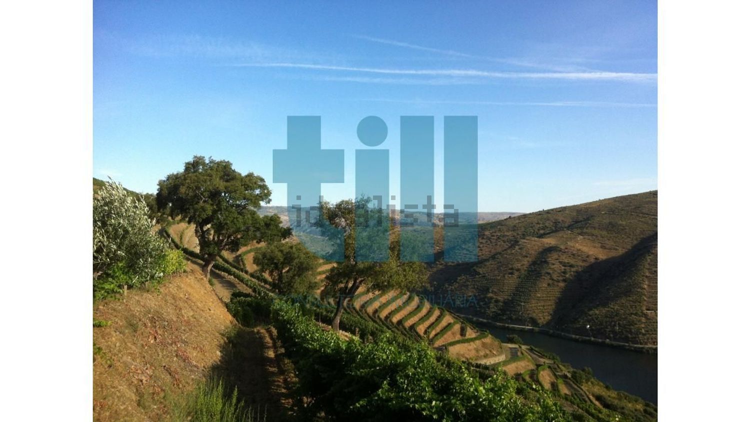 庄园出售在 Vila Nova de Foz Côa - 视线