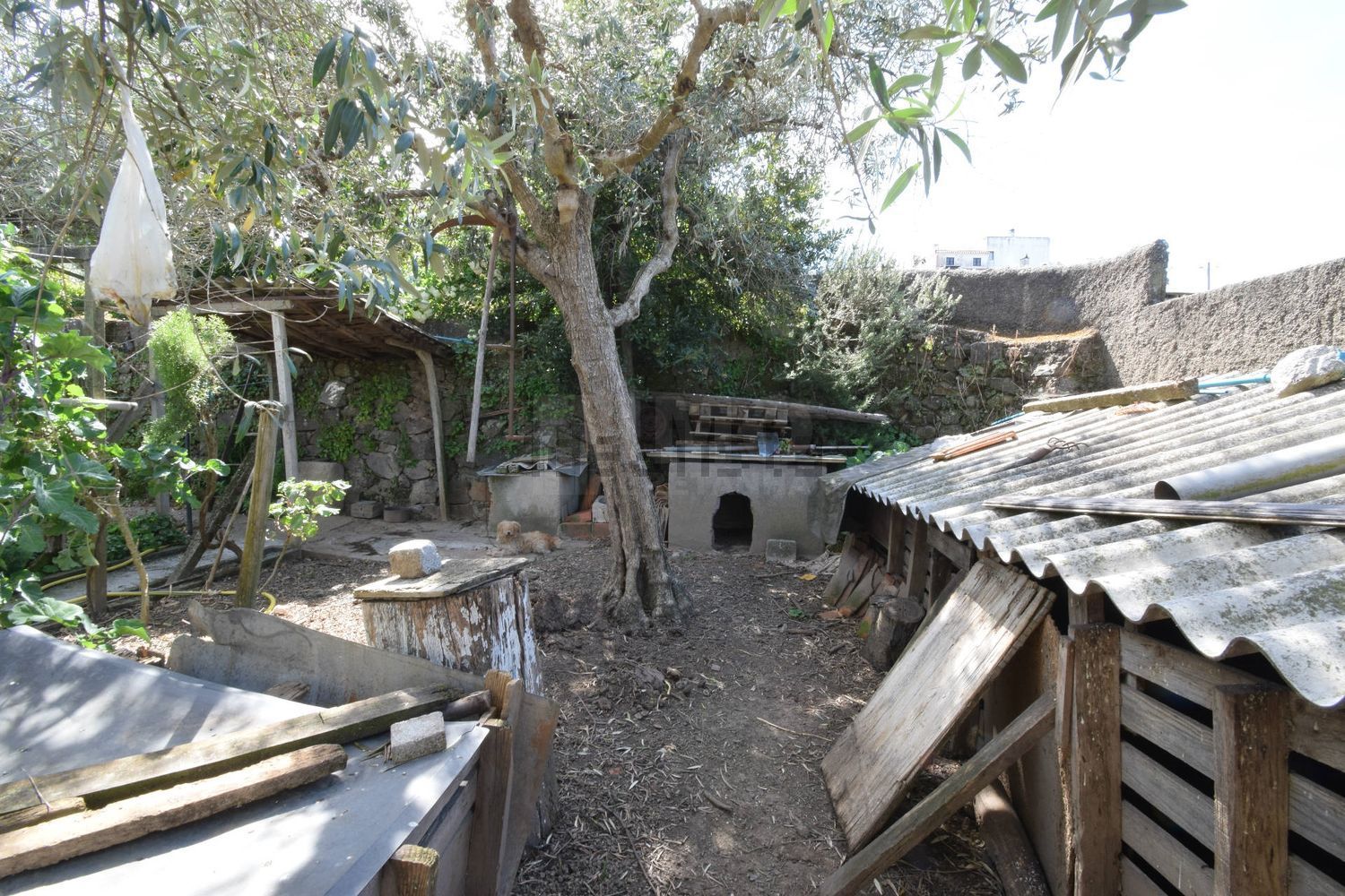 小楼房或独栋别墅出售在 Fundão - Valverde - Donas - Aldeia de Joanes - Aldeia Nova do Cabo - 花园