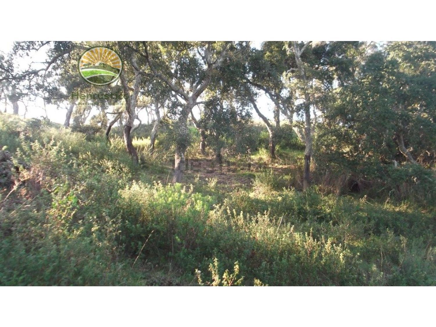 农庄出售在 Grândola e Santa Margarida da Serra - 花园
