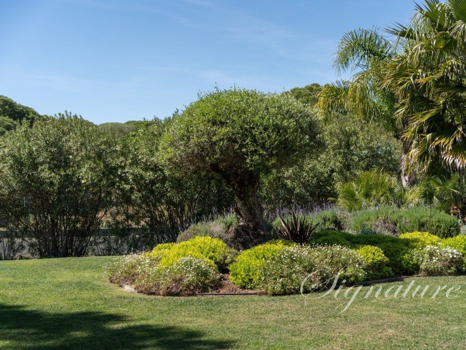 小楼房或独栋别墅出售在 The Village - Fonte Algarve - Quinta Verde - 花园