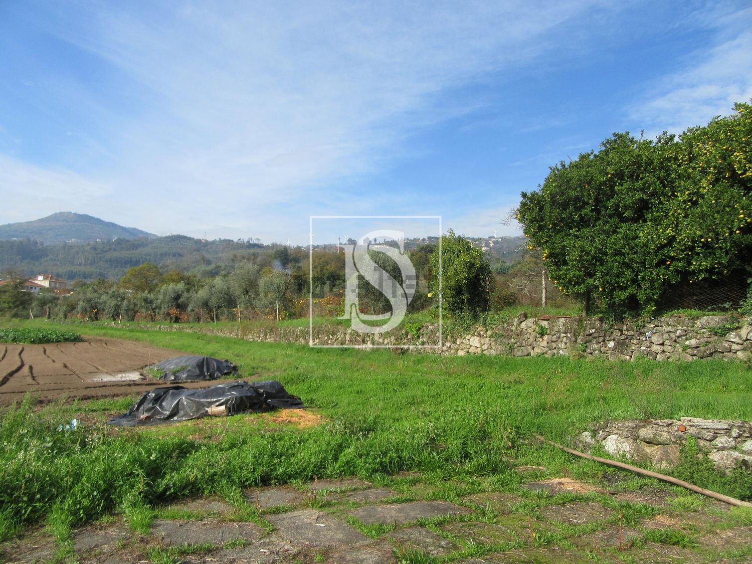 庄园出售在 Campo de Besteiros - 花园
