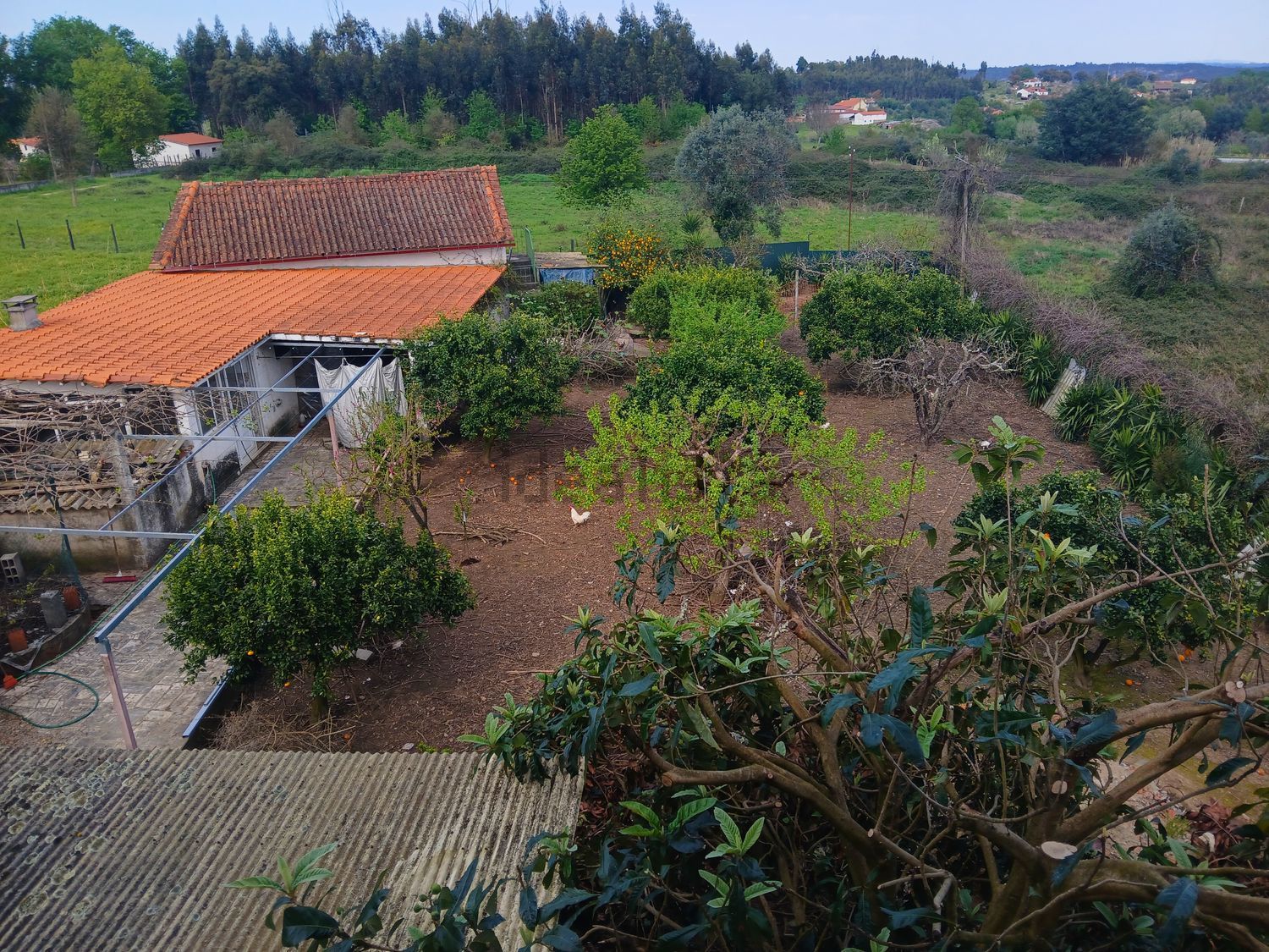 小楼房或独栋别墅出售在Rua Nossa Senhora da Esperança, 298 - 花园
