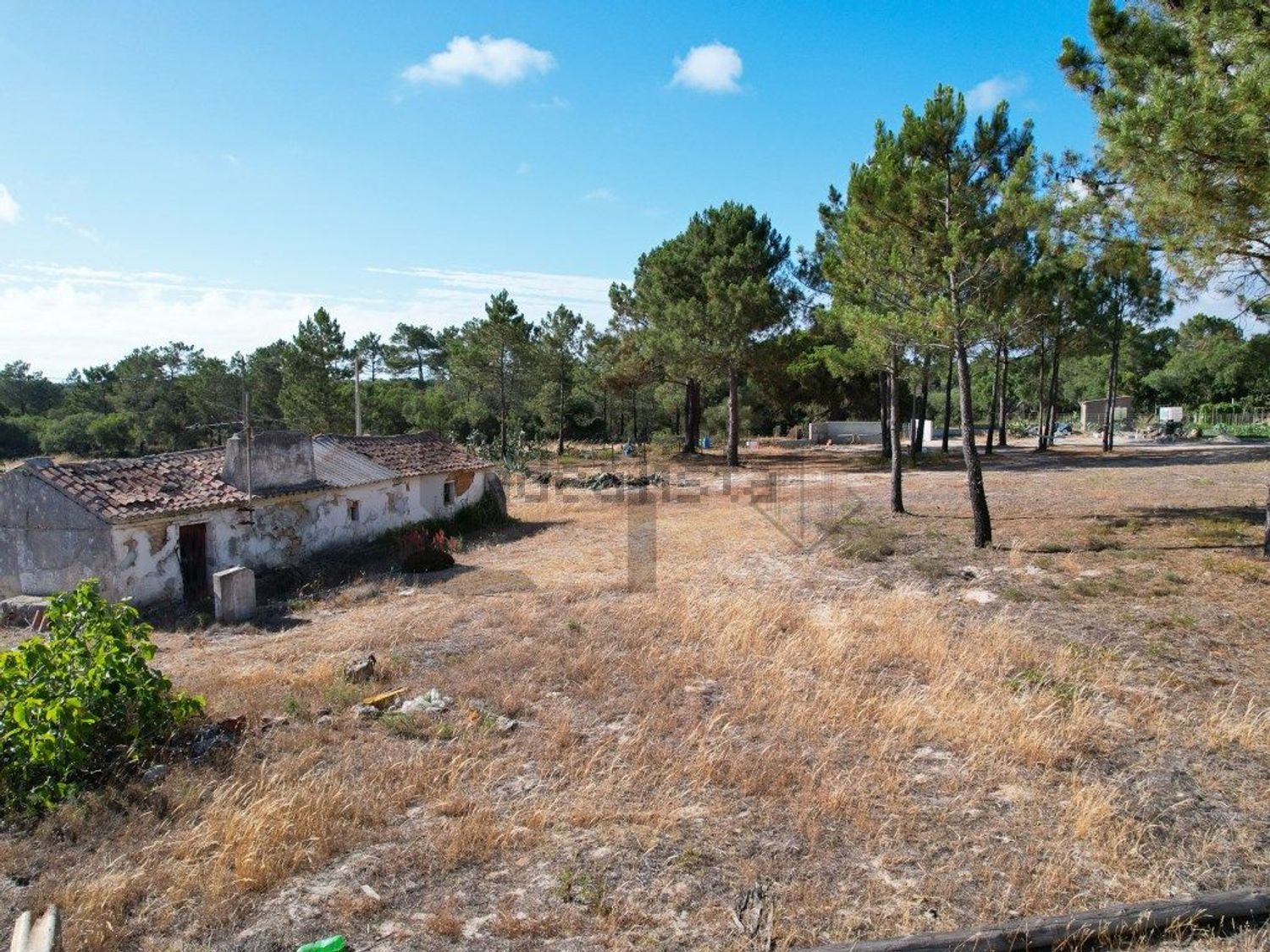 小楼房或独栋别墅出售在 lagoa santo andre s/n - 花园