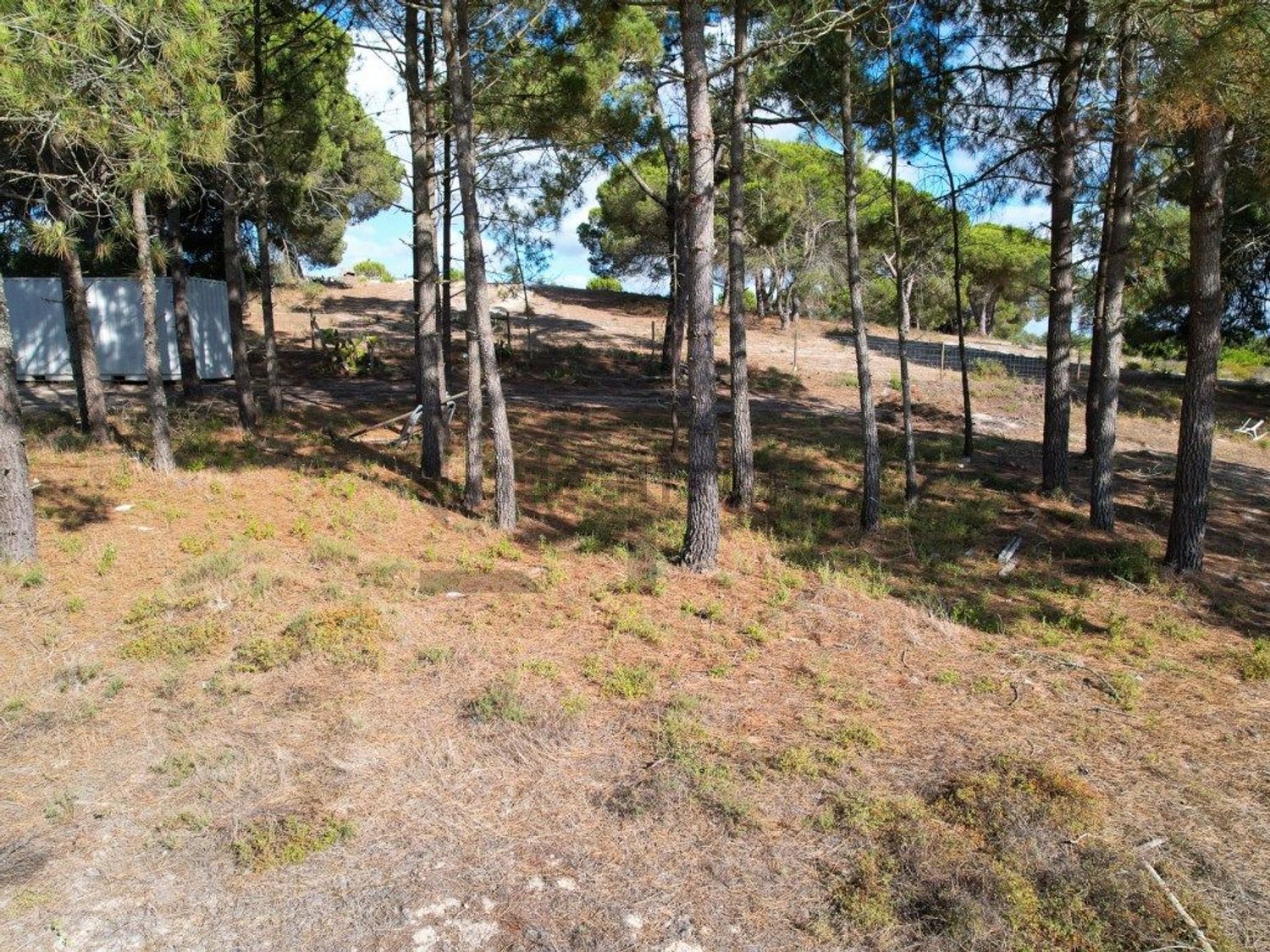 小楼房或独栋别墅出售在 lagoa santo andre s/n - 花园