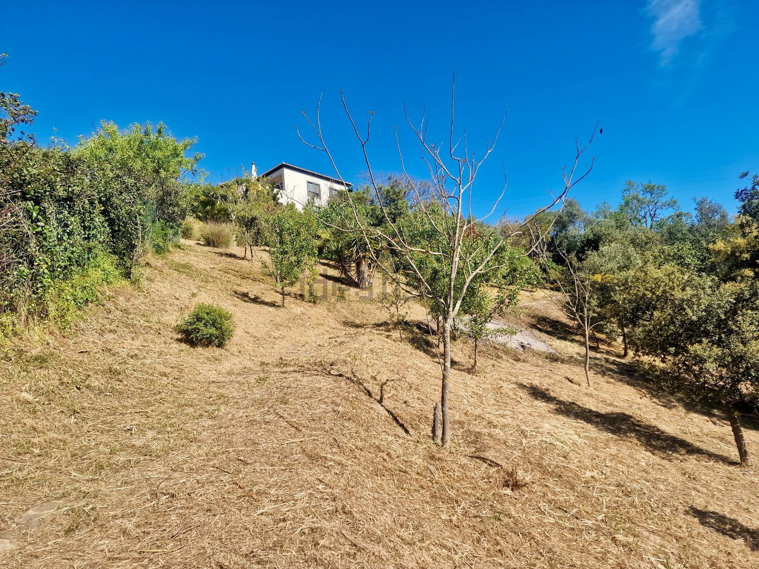 小楼房或独栋别墅出售在 Santa Catarina Fonte Bispo - 花园