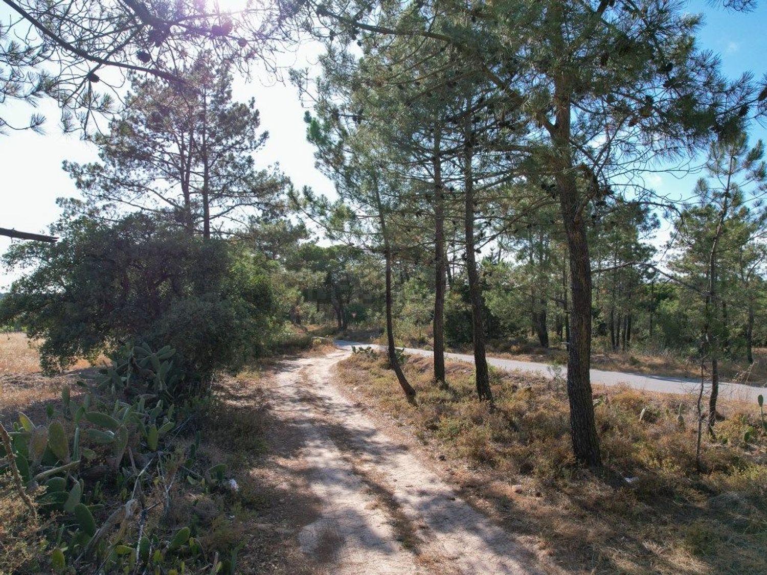 小楼房或独栋别墅出售在 lagoa santo andre s/n - 花园