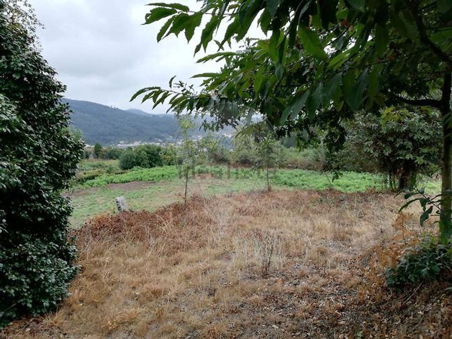 庄园出售在Rua da Quintã - 花园