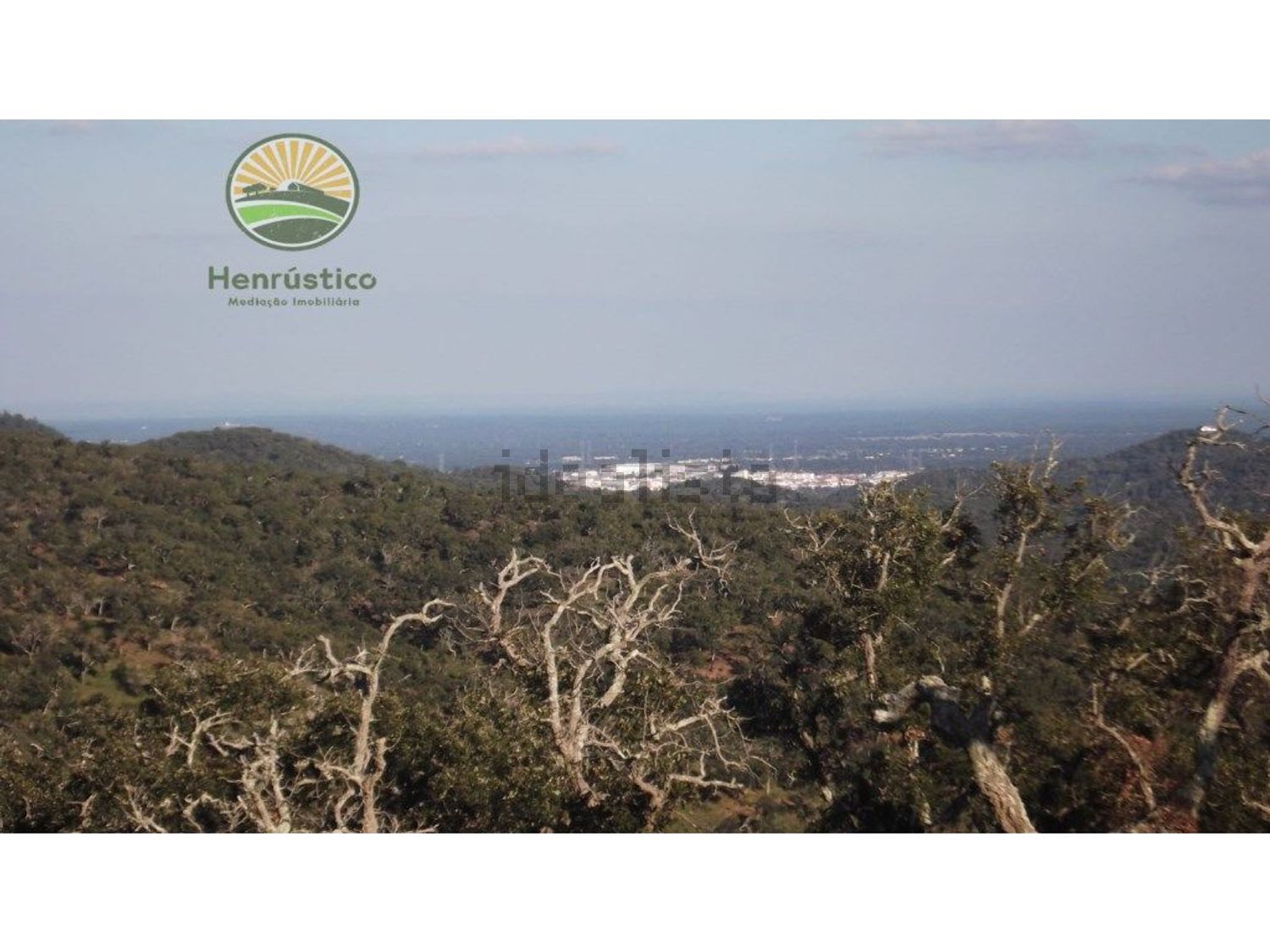 农庄出售在 Grândola e Santa Margarida da Serra - 视线