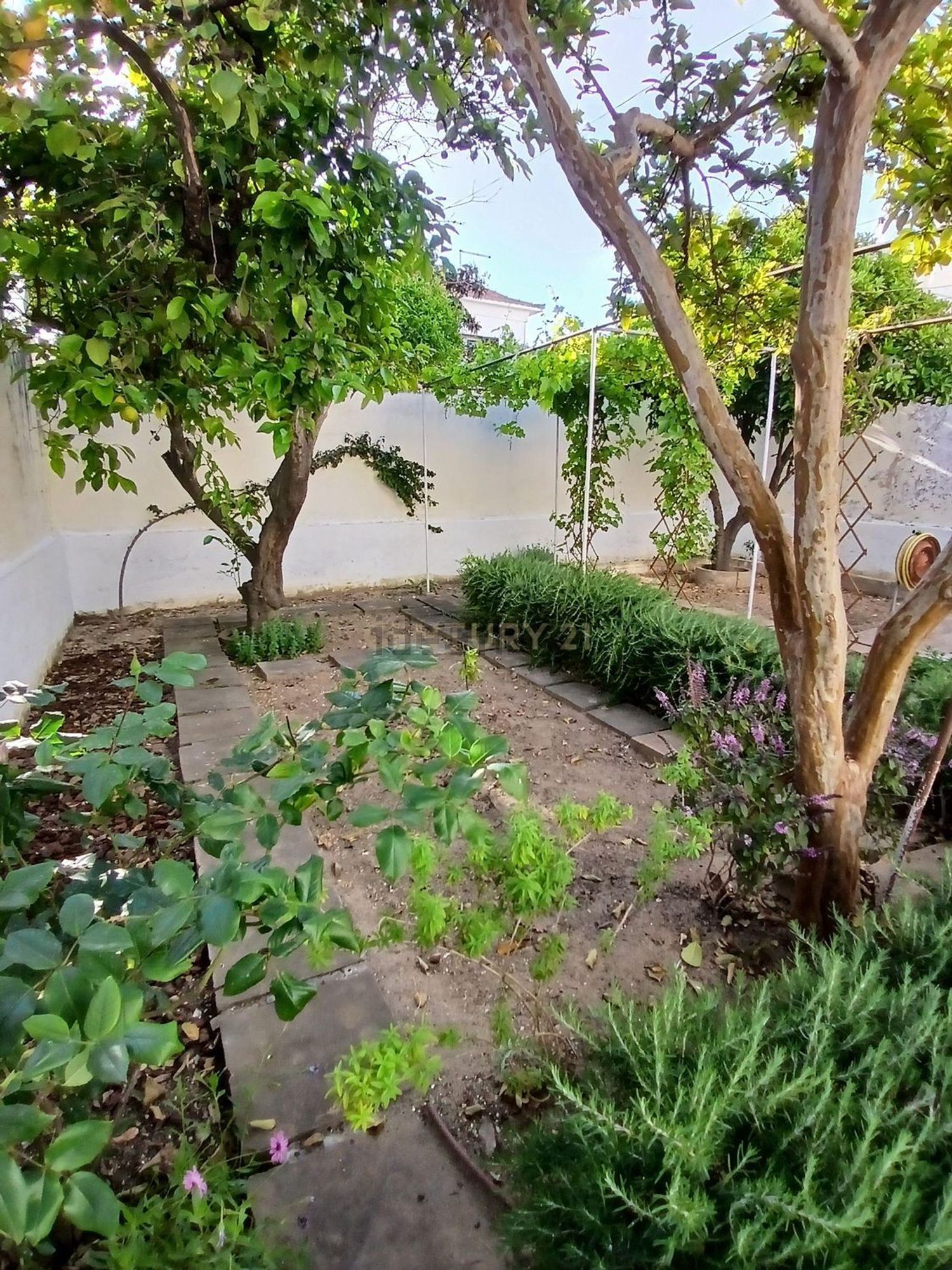 小楼房或独栋别墅出售在Rua Tenente Morais Soares, 17 - 花园