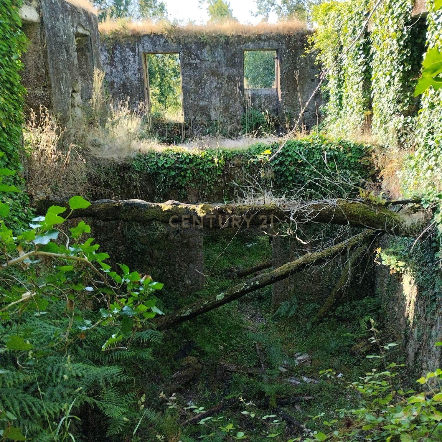 小楼房或独栋别墅出售在Rua de Barreiros s/n - 花园