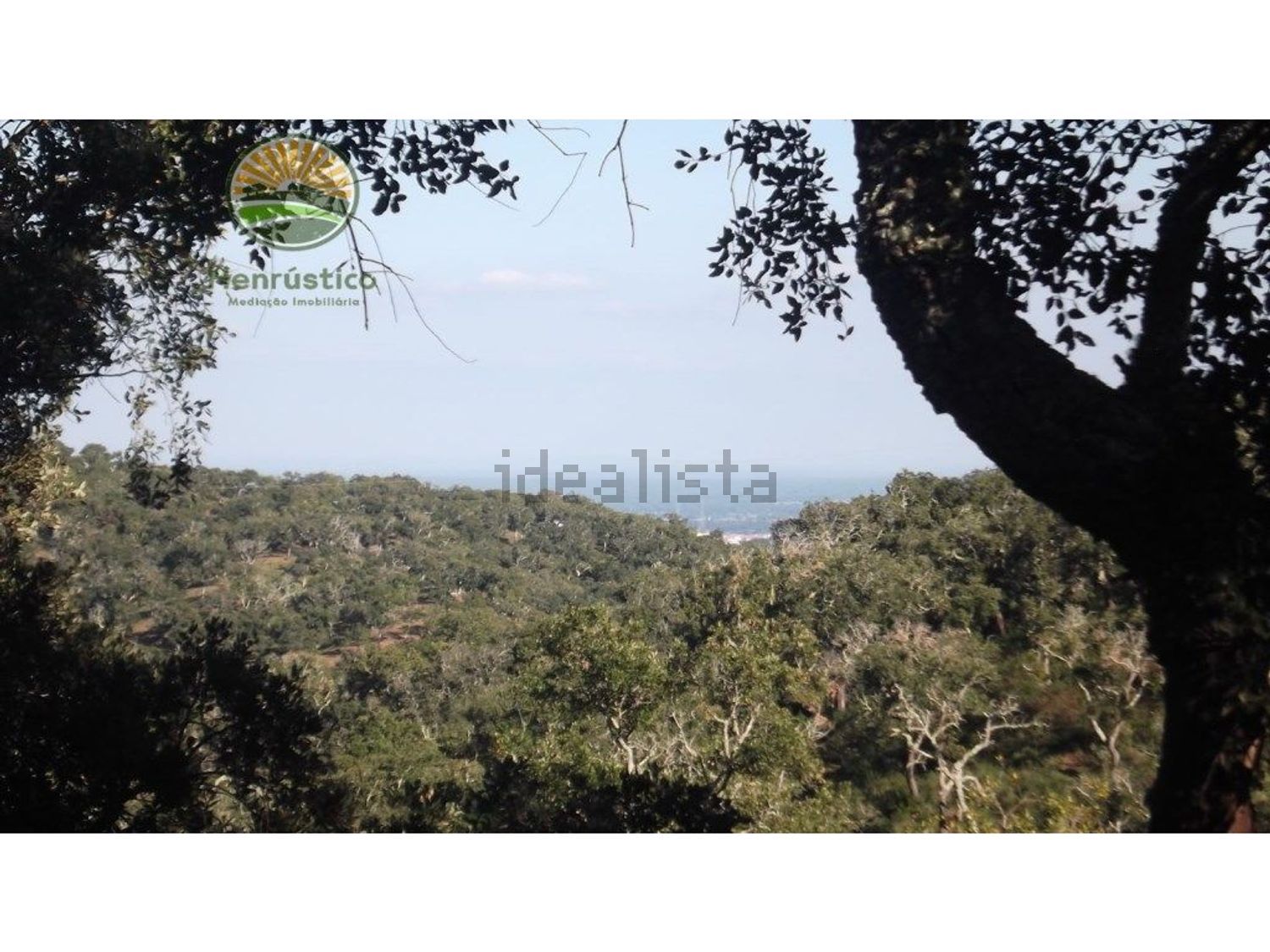 农庄出售在 Grândola e Santa Margarida da Serra - 照片