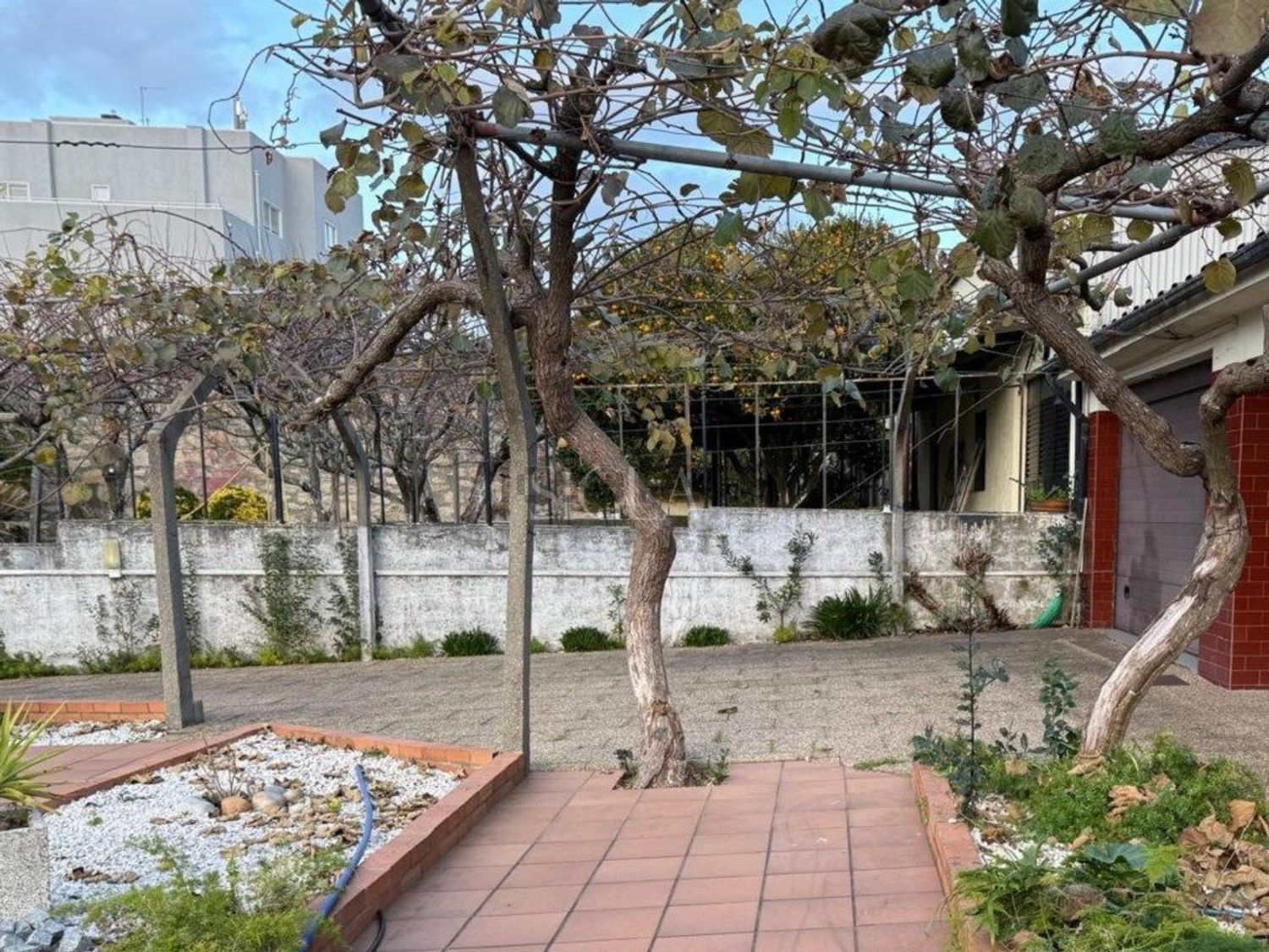 小楼房或独栋别墅出售在Rua Carlos Guedes de Amorim - 阳台