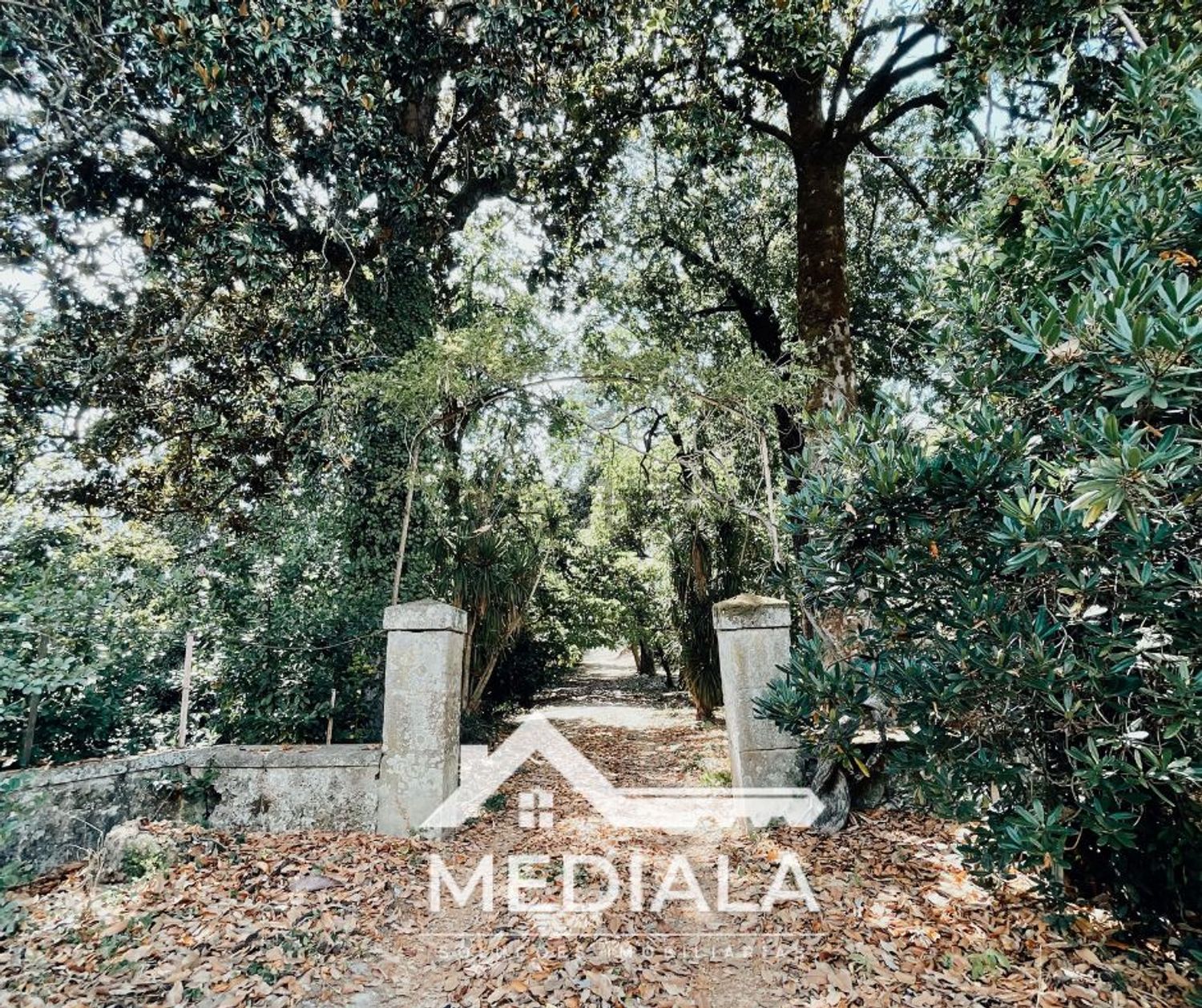 小楼房或独栋别墅出售在Rua Querido, 97 - 花园