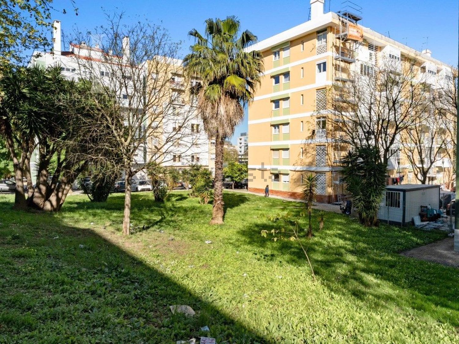 公寓 t2出售在Rua Actriz Adelina Abranches, 13 - 花园