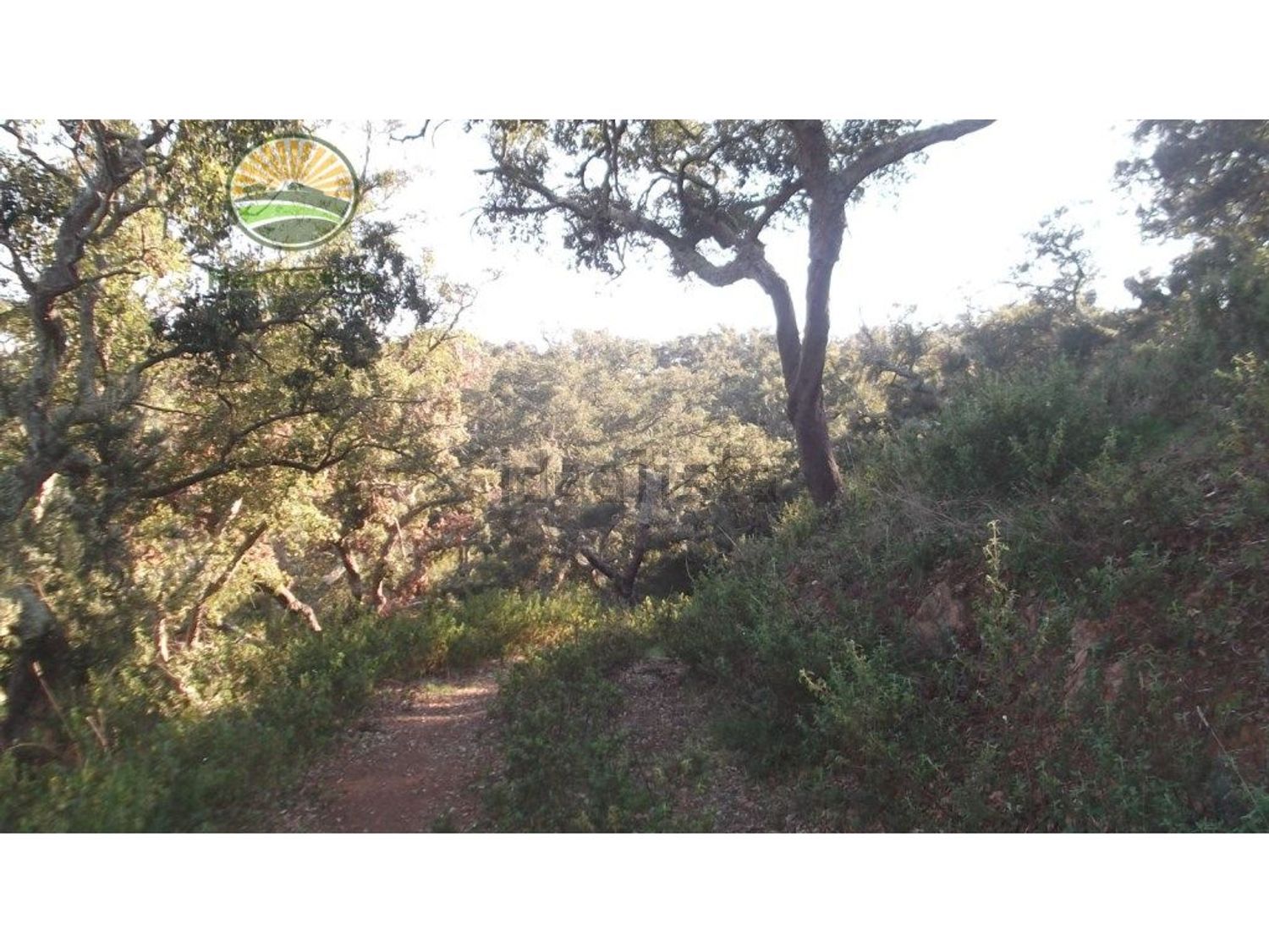 农庄出售在 Grândola e Santa Margarida da Serra - 花园