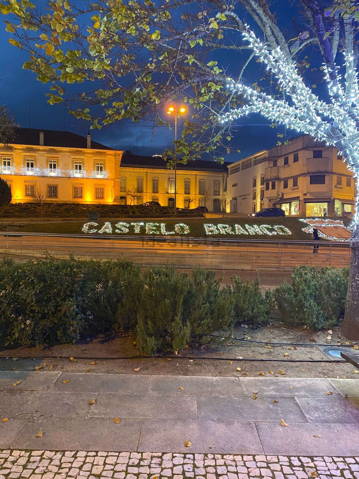 公寓 t3出售在 Castelo Branco - 周边
