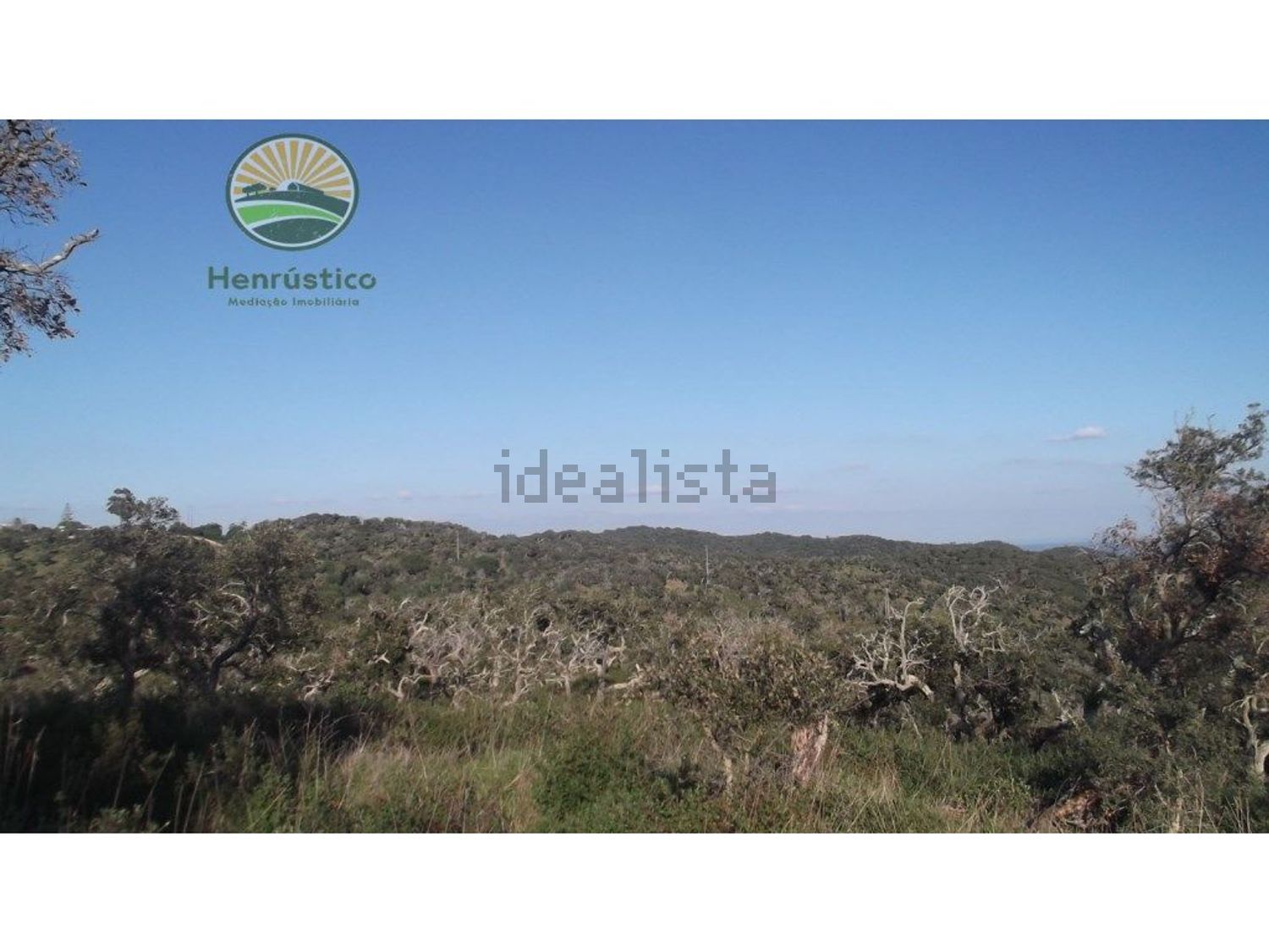 农庄出售在 Grândola e Santa Margarida da Serra - 视线