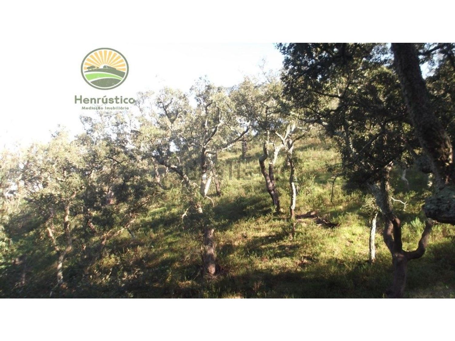 农庄出售在 Grândola e Santa Margarida da Serra - 花园