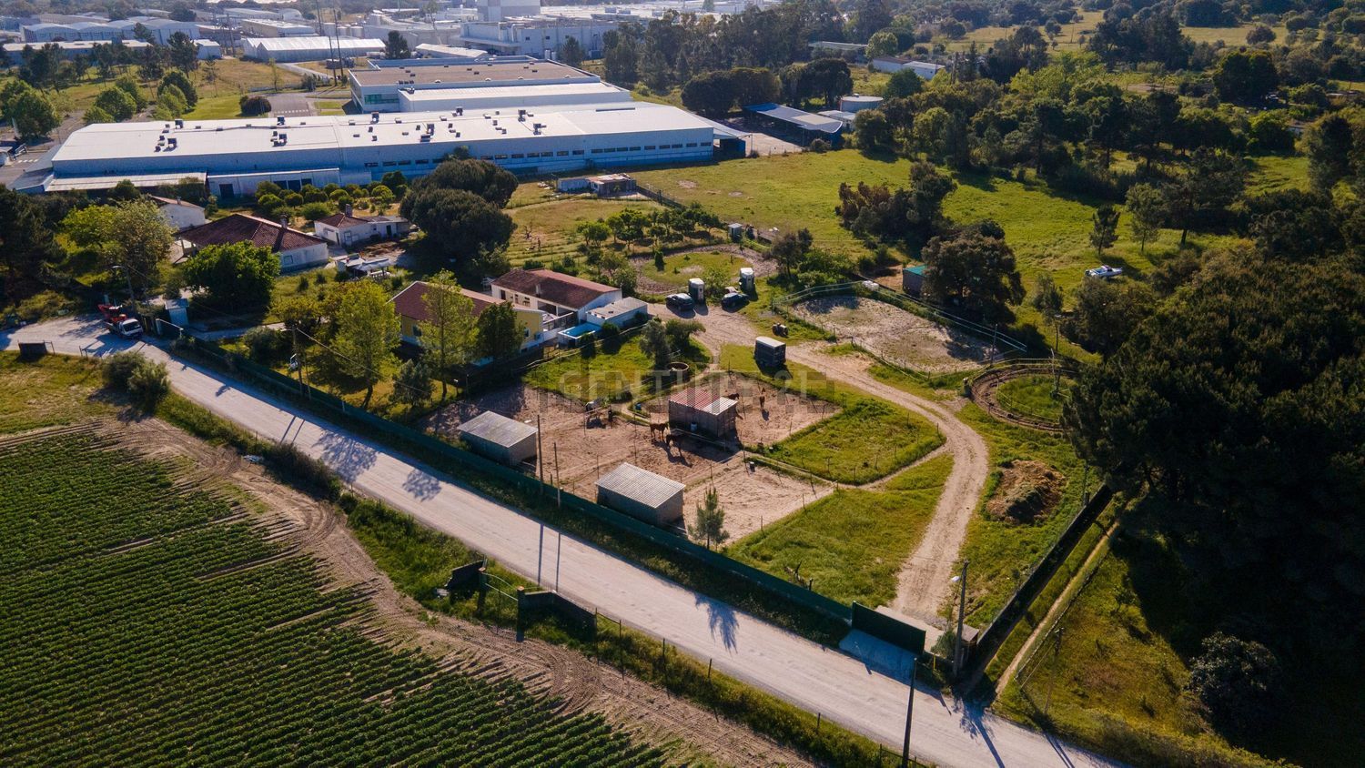 小楼房或独栋别墅出售在 Parque Industrial das Carrascas, Palmela, Portugal - 游泳池