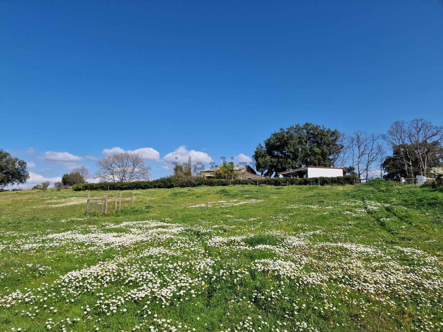 庄园出售在Estrada Sem Nome s/n - 土地