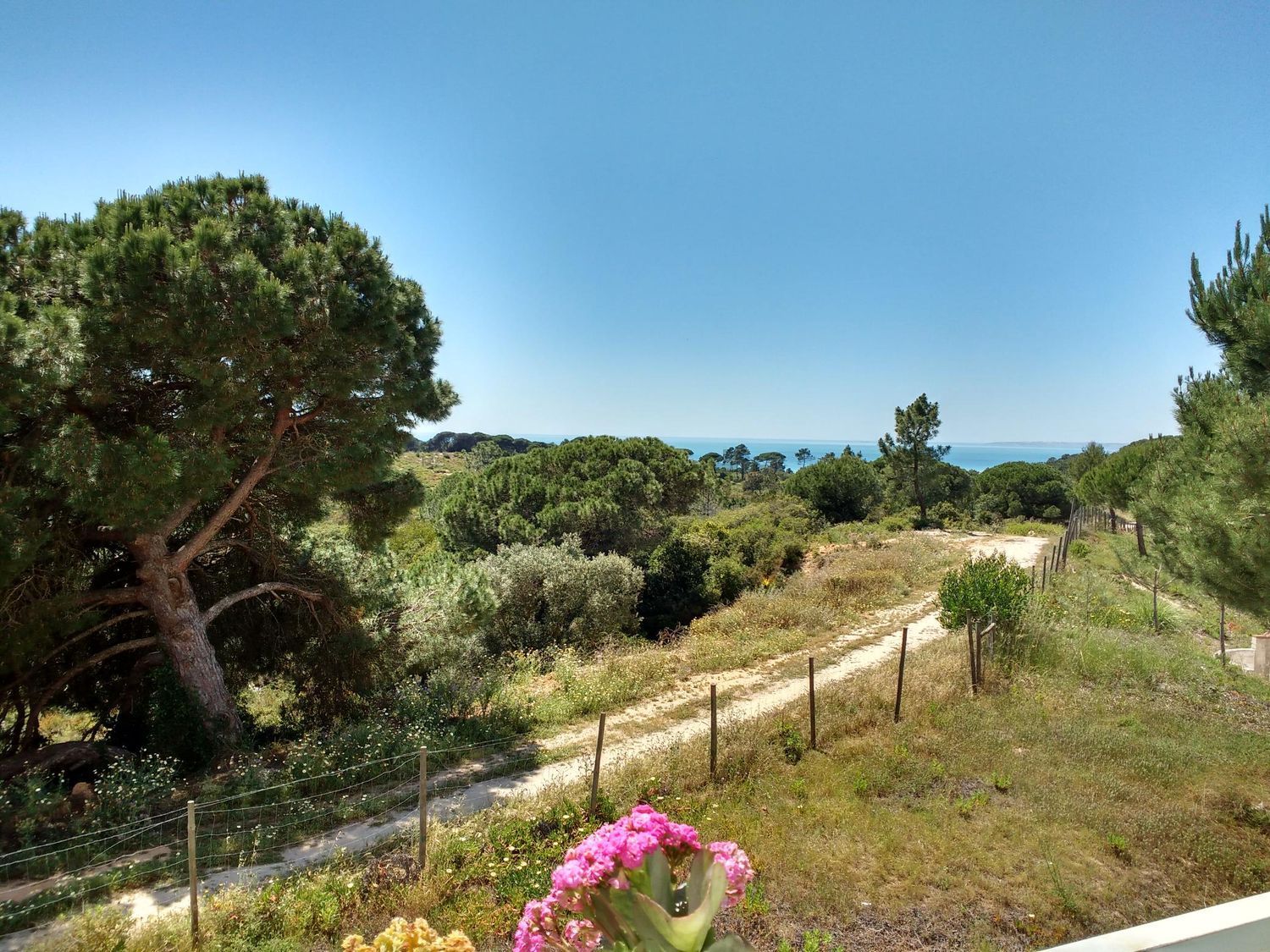 出租公寓 t1在 Quinta do Texugo - Quinta de Santa Teresa - 花园