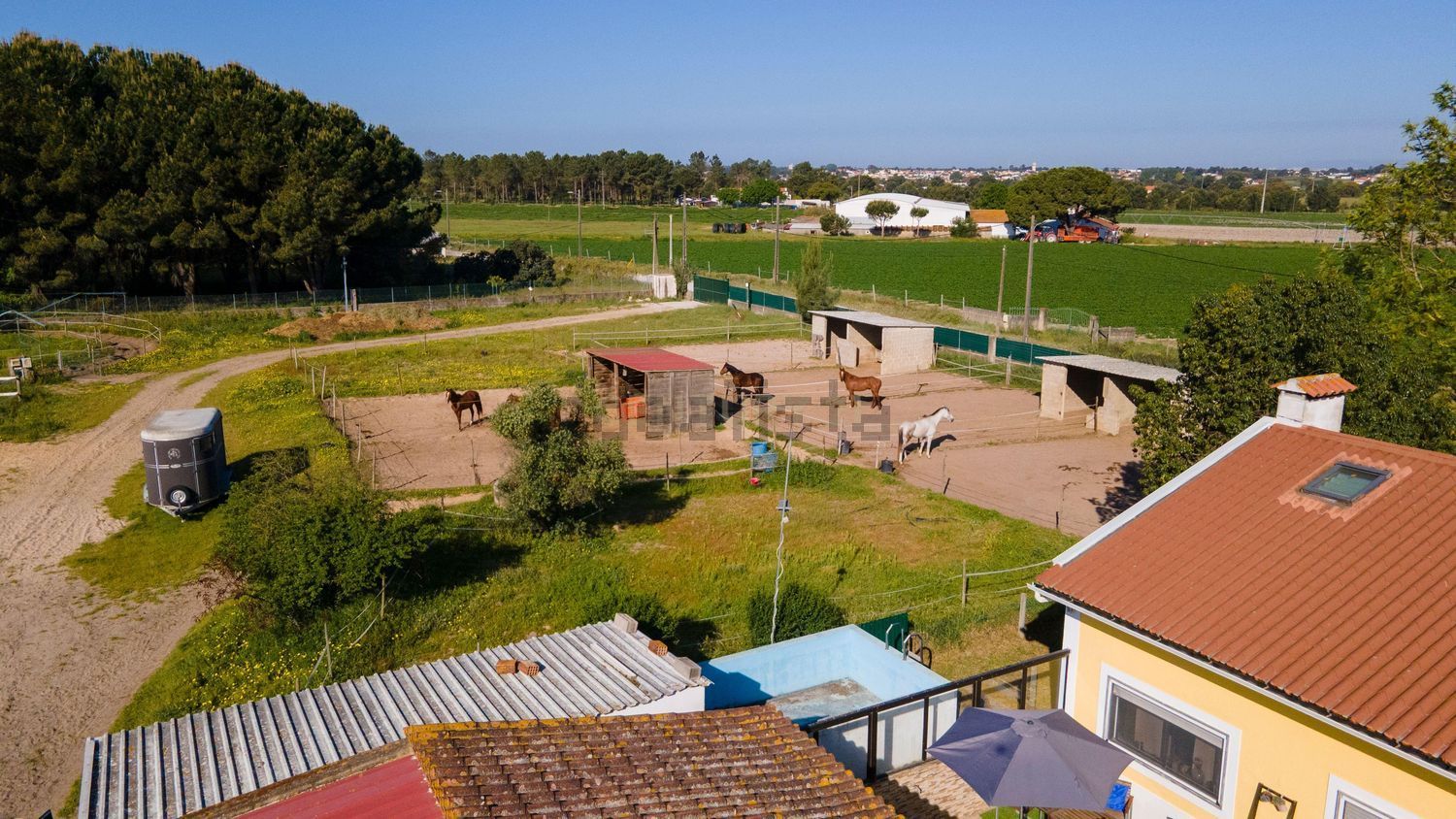 小楼房或独栋别墅出售在 Parque Industrial das Carrascas, Palmela, Portugal - 游泳池