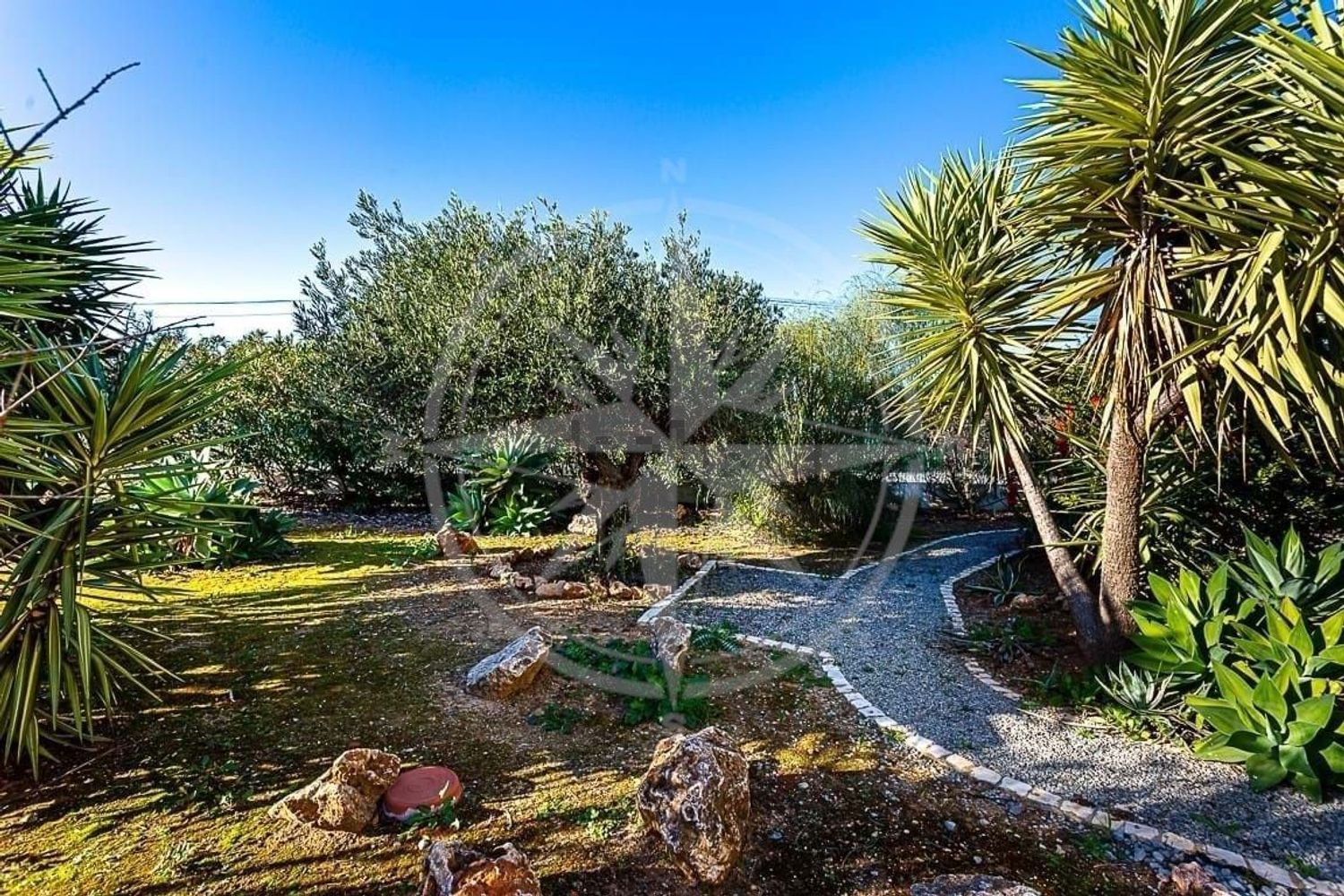 小楼房或别墅出售在 Conceição e Cabanas de Tavira - 花园