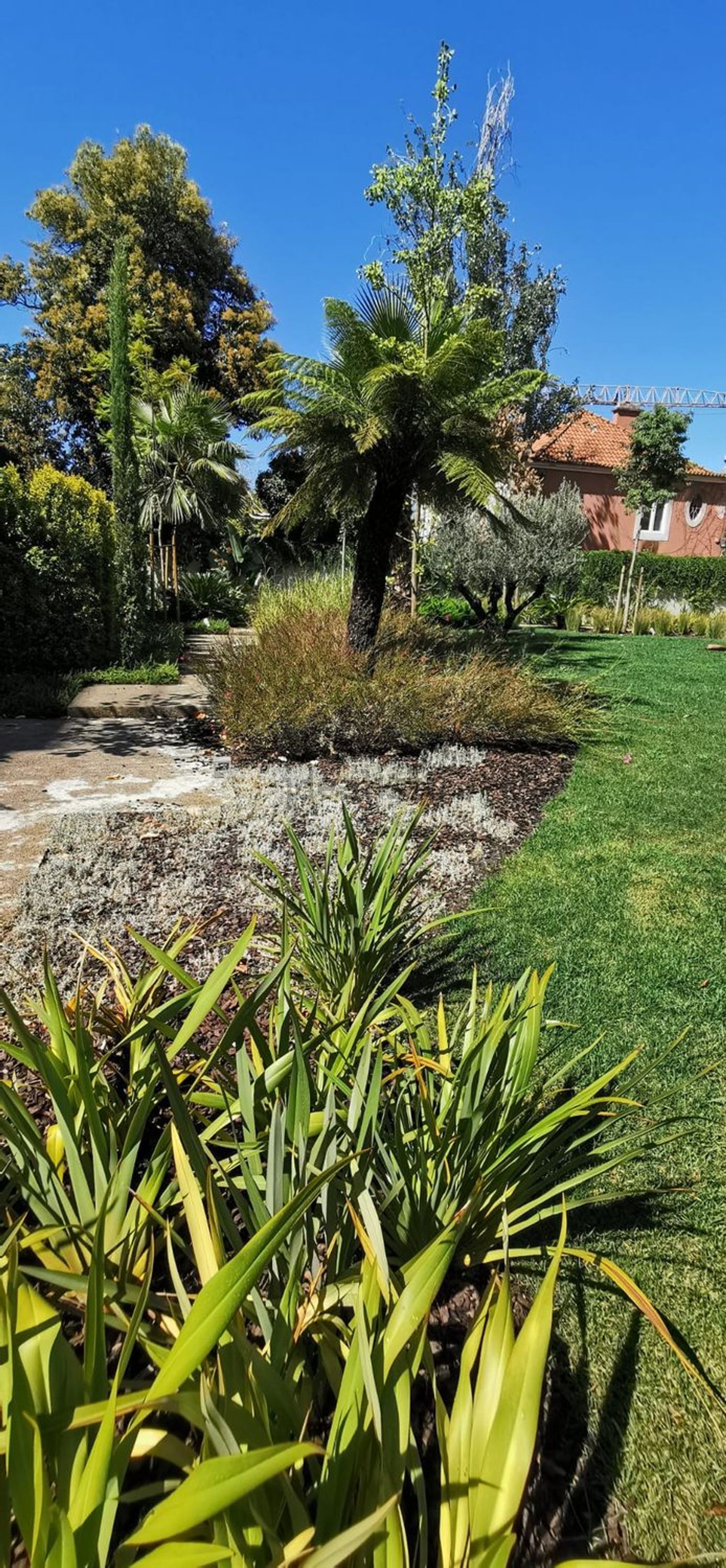 出租公寓 t3在Rua da Imprensa Nacional, 67 - 花园