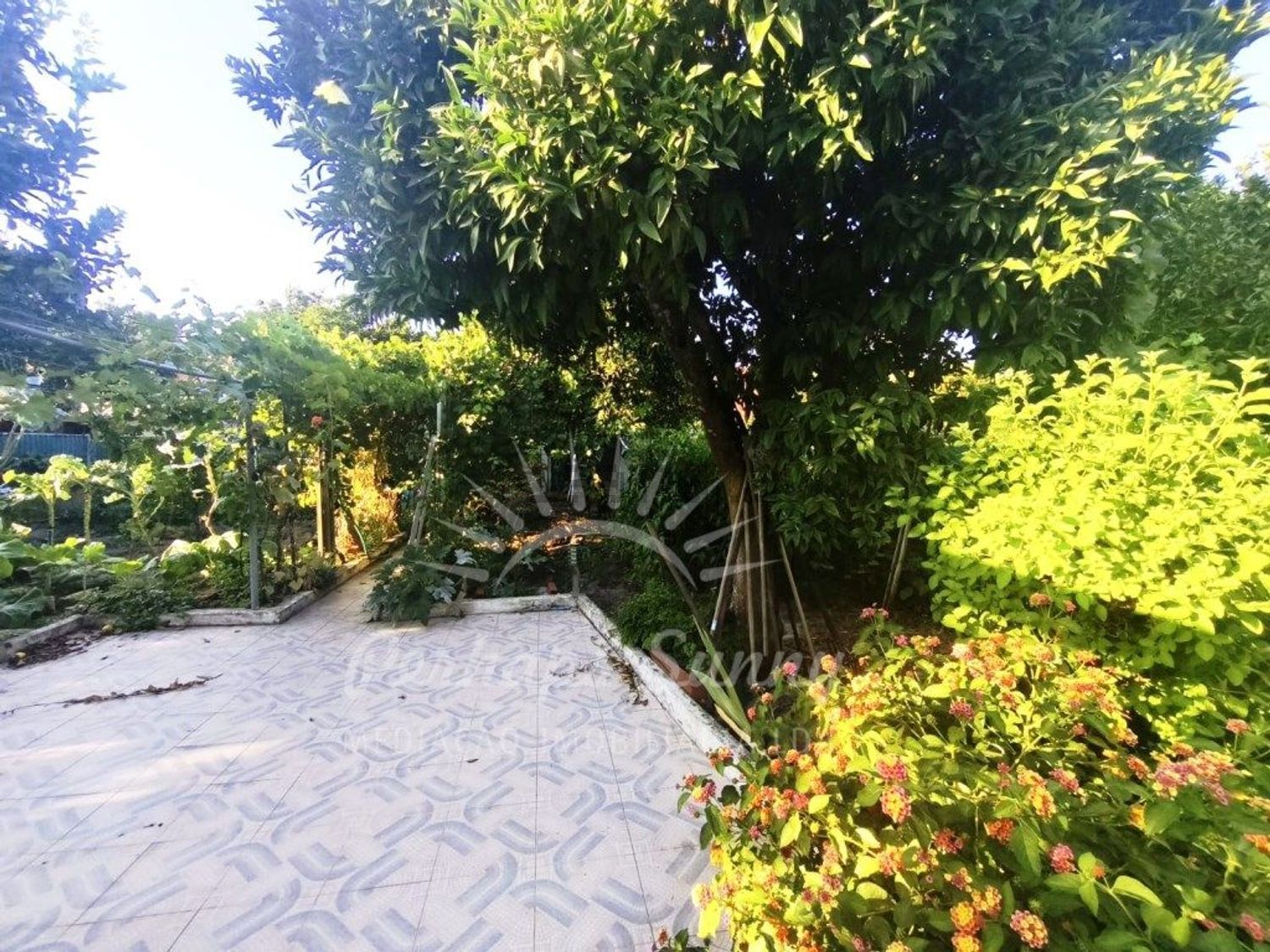 小楼房或独栋别墅出售在 Grândola e Santa Margarida da Serra - 花园