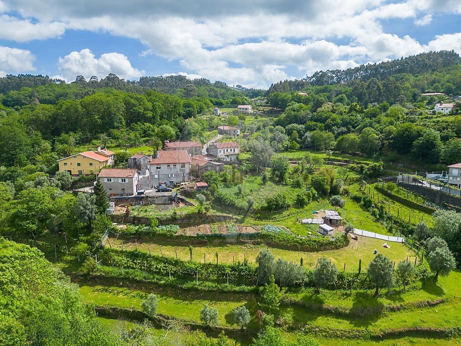 小楼房或独栋别墅出售在 Ribeira do Neiva - 视线