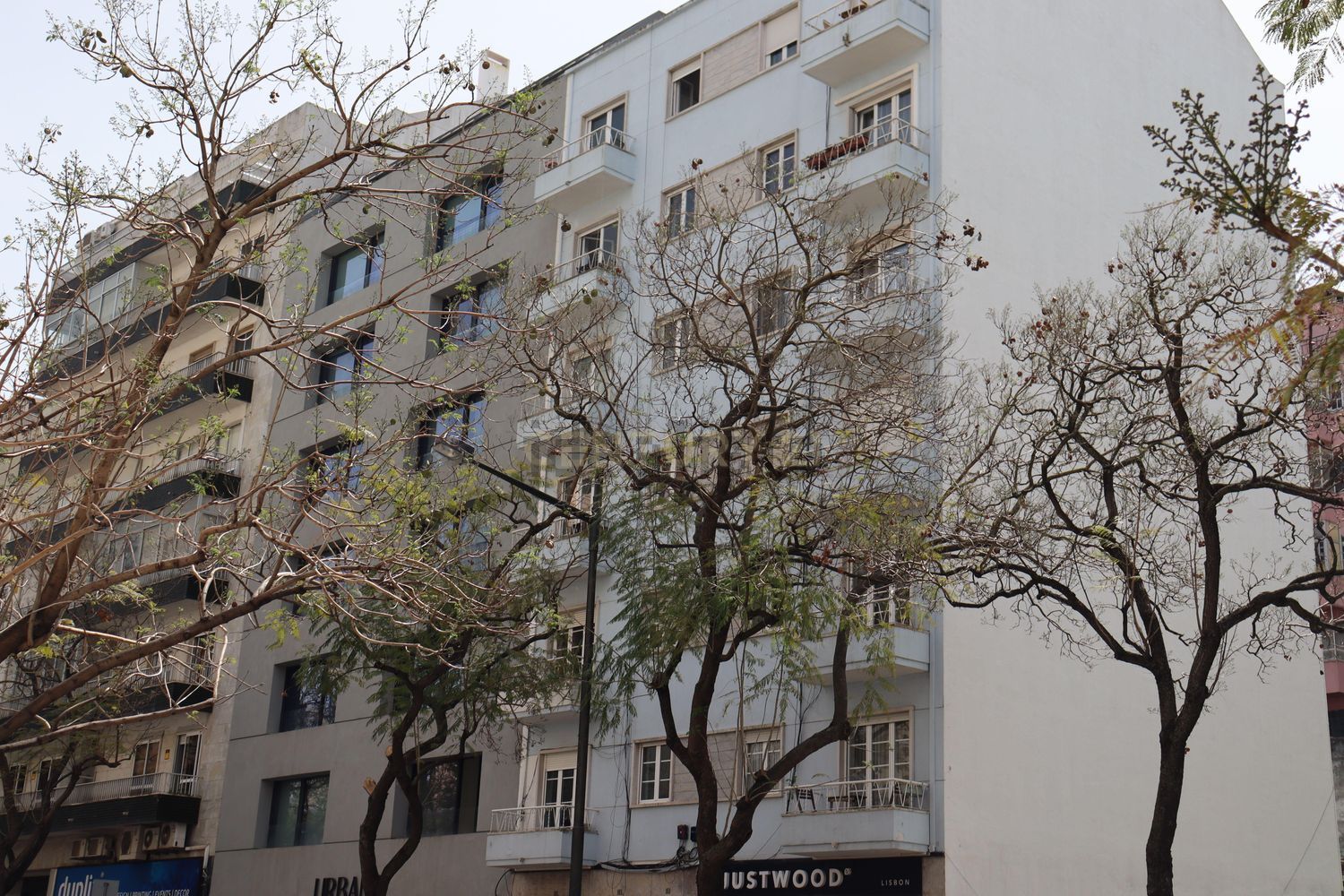 出租公寓 t2在Avenida Miguel Bombarda, 161 - 视线
