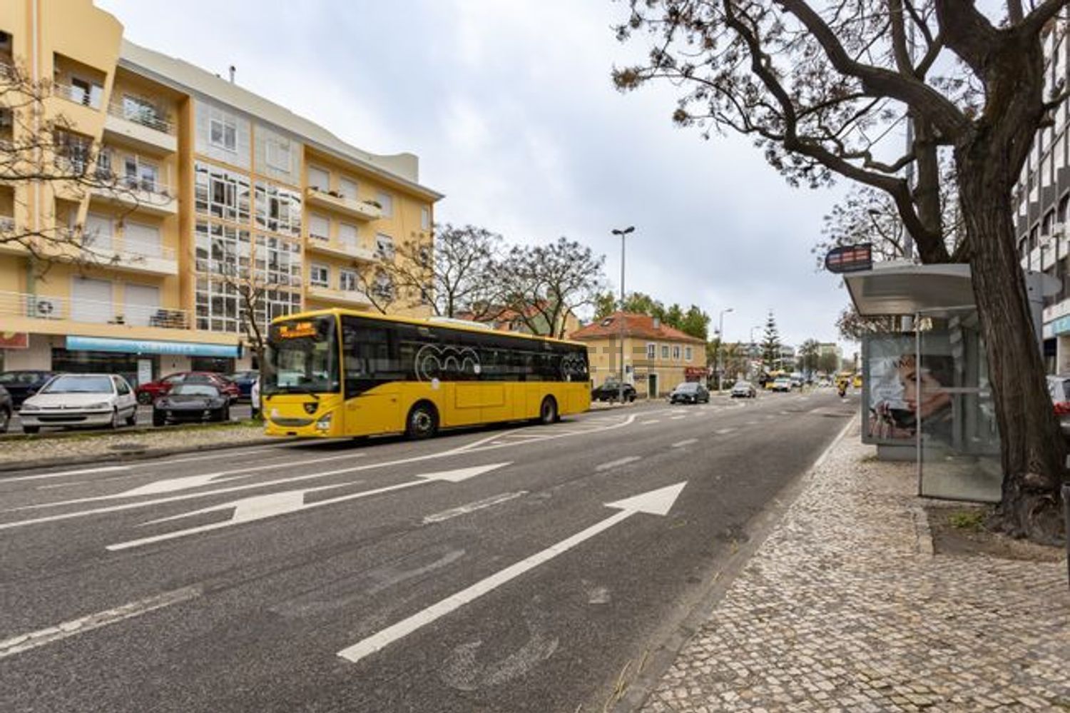 公寓 t3出售在Avenida António José Gomes s/n - 周边