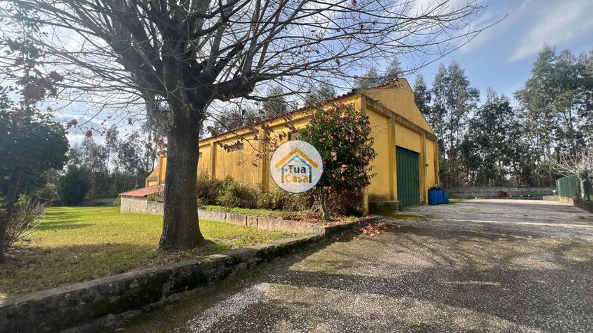 庄园出售在 Canedo