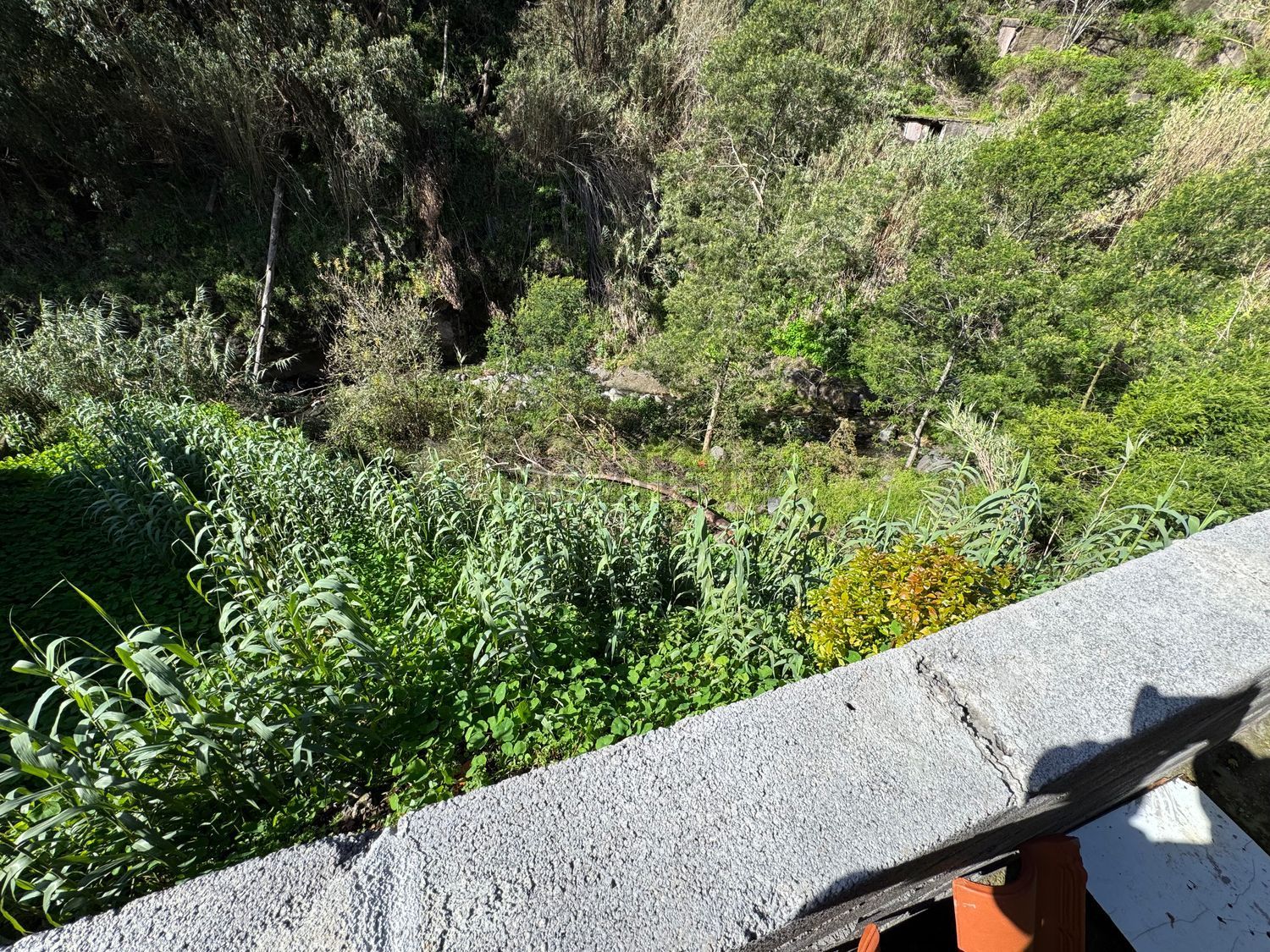 小楼房或独栋别墅出售在Caminho do Moinho, 45 - 花园